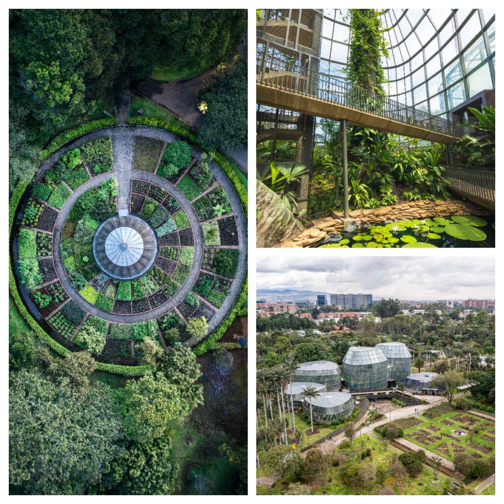 Bogotá conmemora el Mes del Patrimonio Cultural con un homenaje al legado botánico y cultural de la ciudad