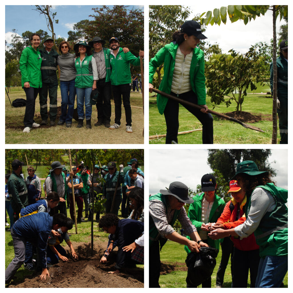 El Sur de Bogotá respira mejor 95 nuevos árboles fueron plantados en el Parque Timiza