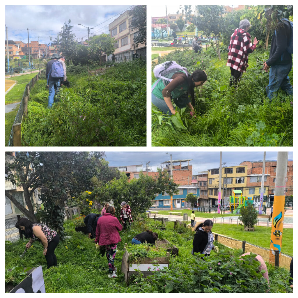 Tejiendo territorios: La Huerta María Cano florece con la fuerza de su comunidad