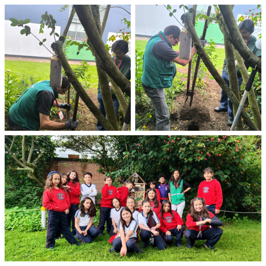 Tejiendo territorios : Abejas, madera y color: un día para los polinizadores en el Colegio Nueva York