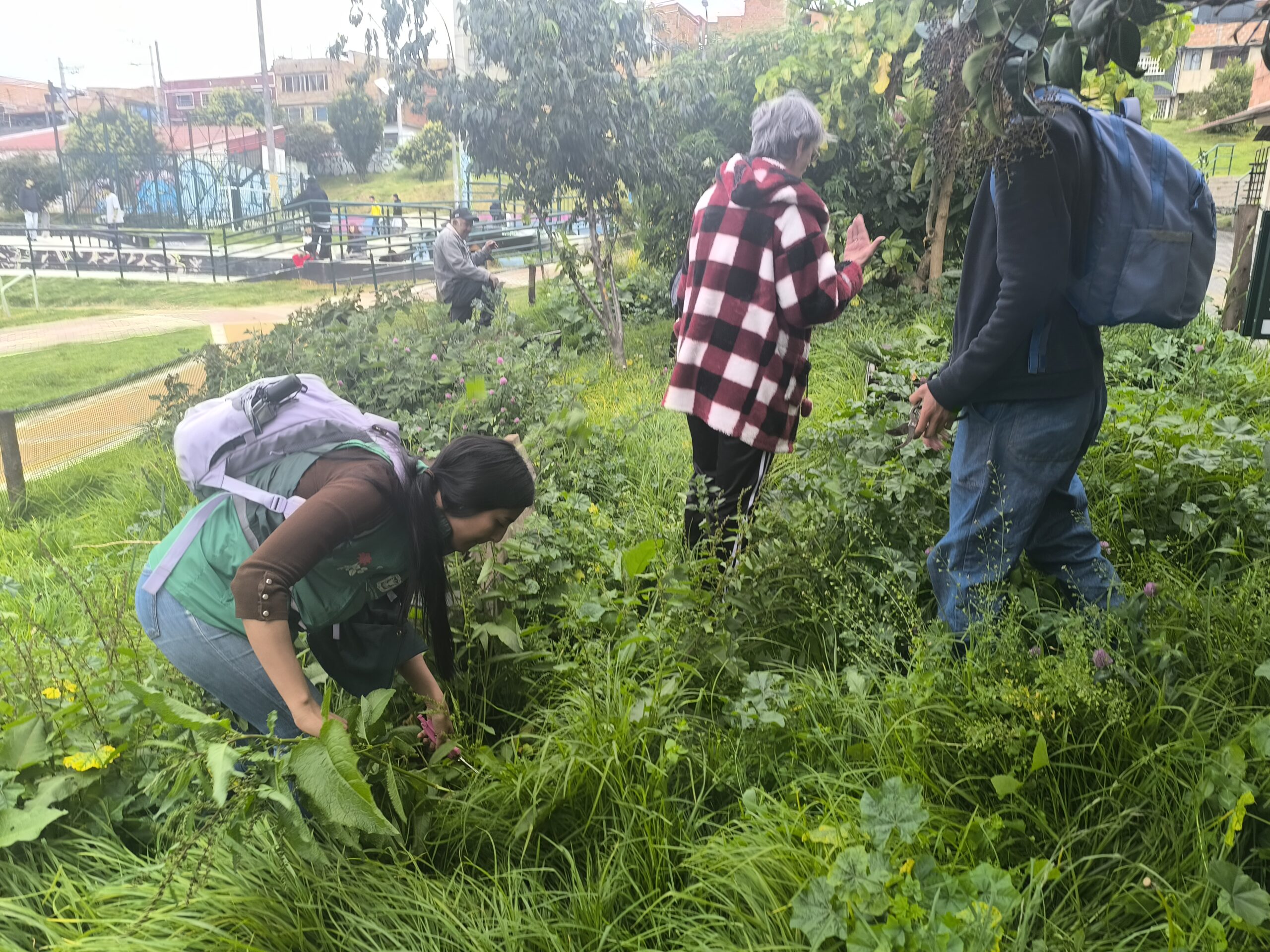 Tejiendo territorios: La Huerta María Cano florece con la fuerza de su comunidad