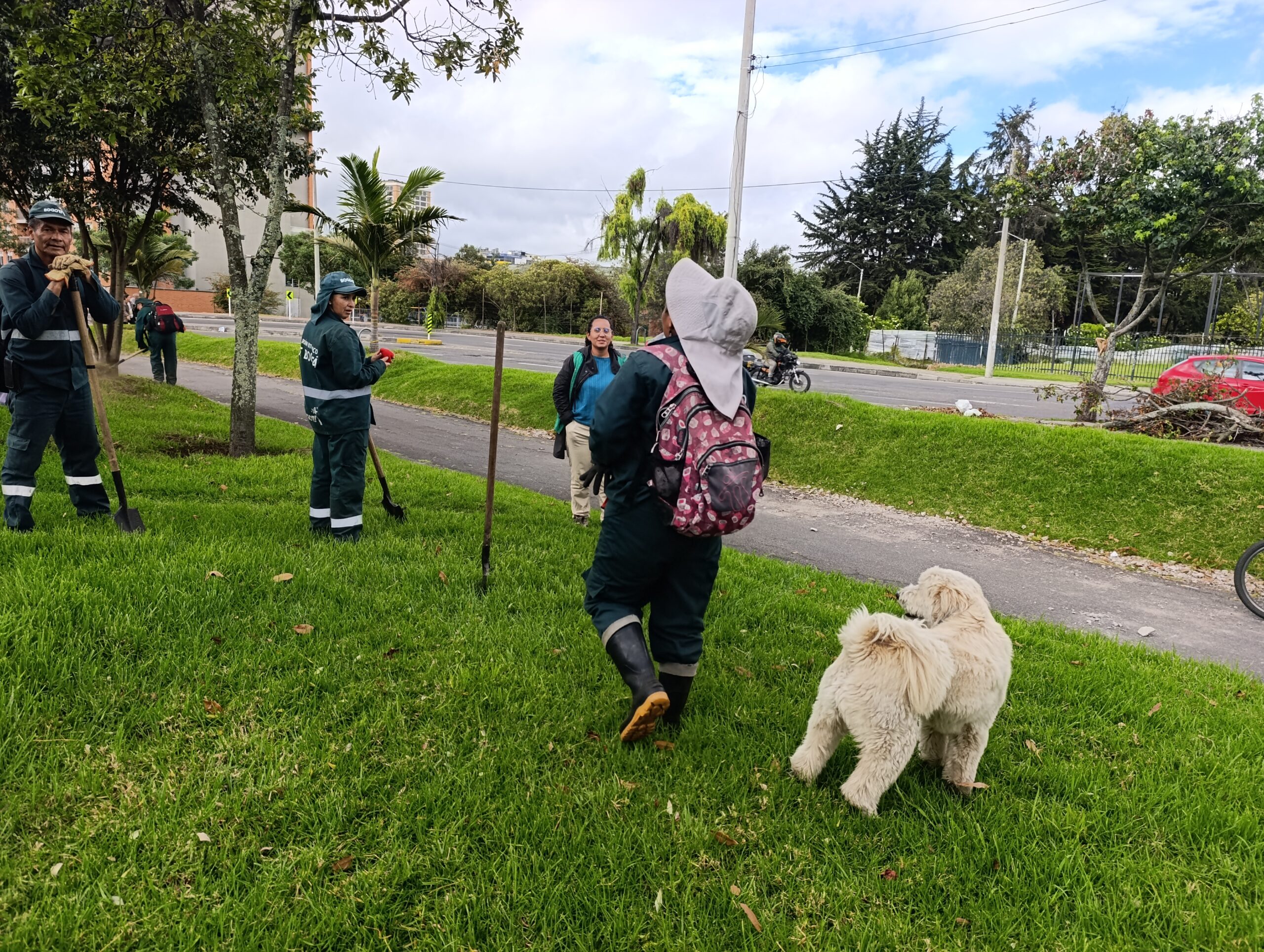 Historias del verde urbano: El guardián peludo de los árboles de Engativá