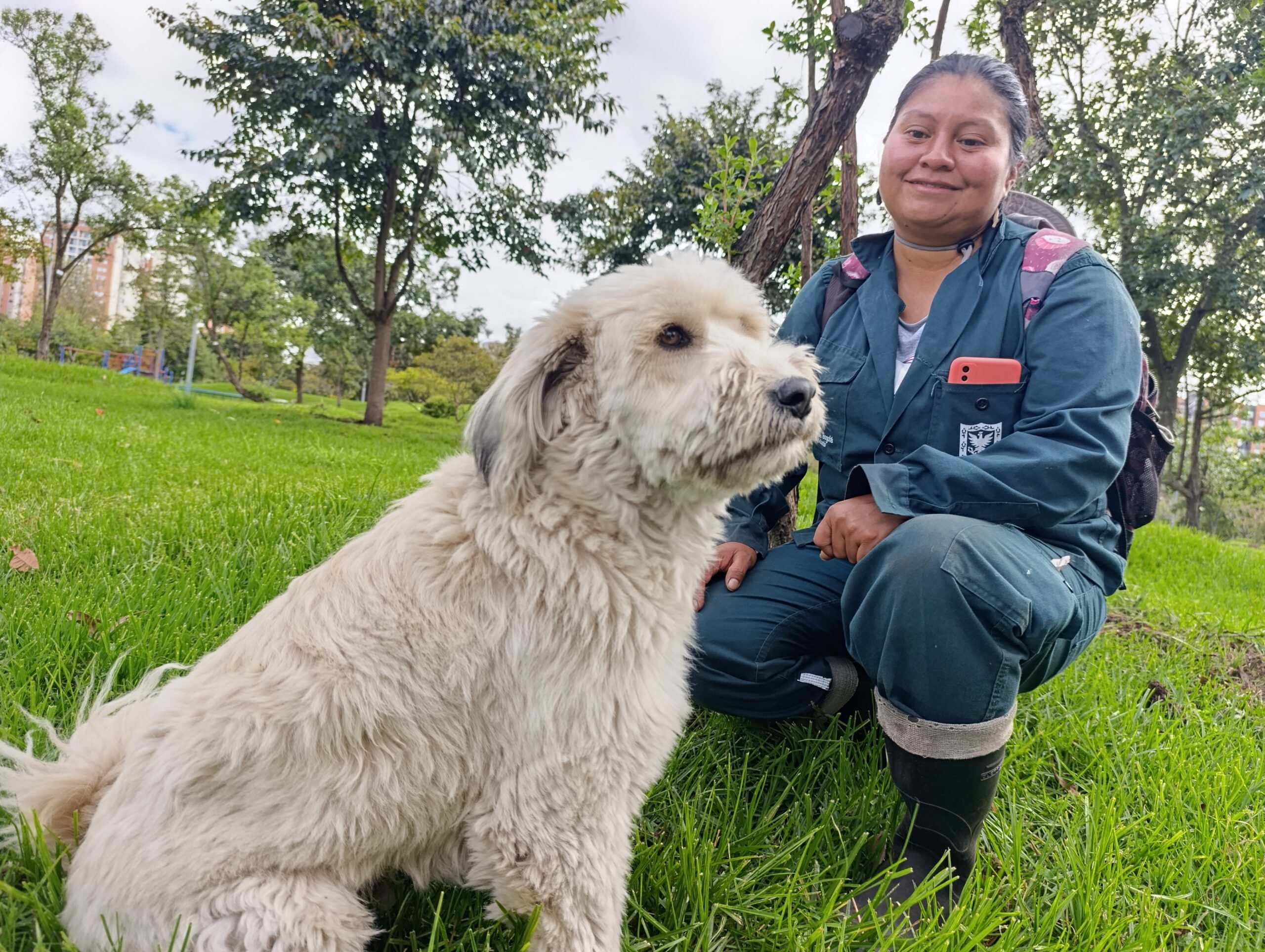 Historias del verde urbano: El guardián peludo de los árboles de Engativá