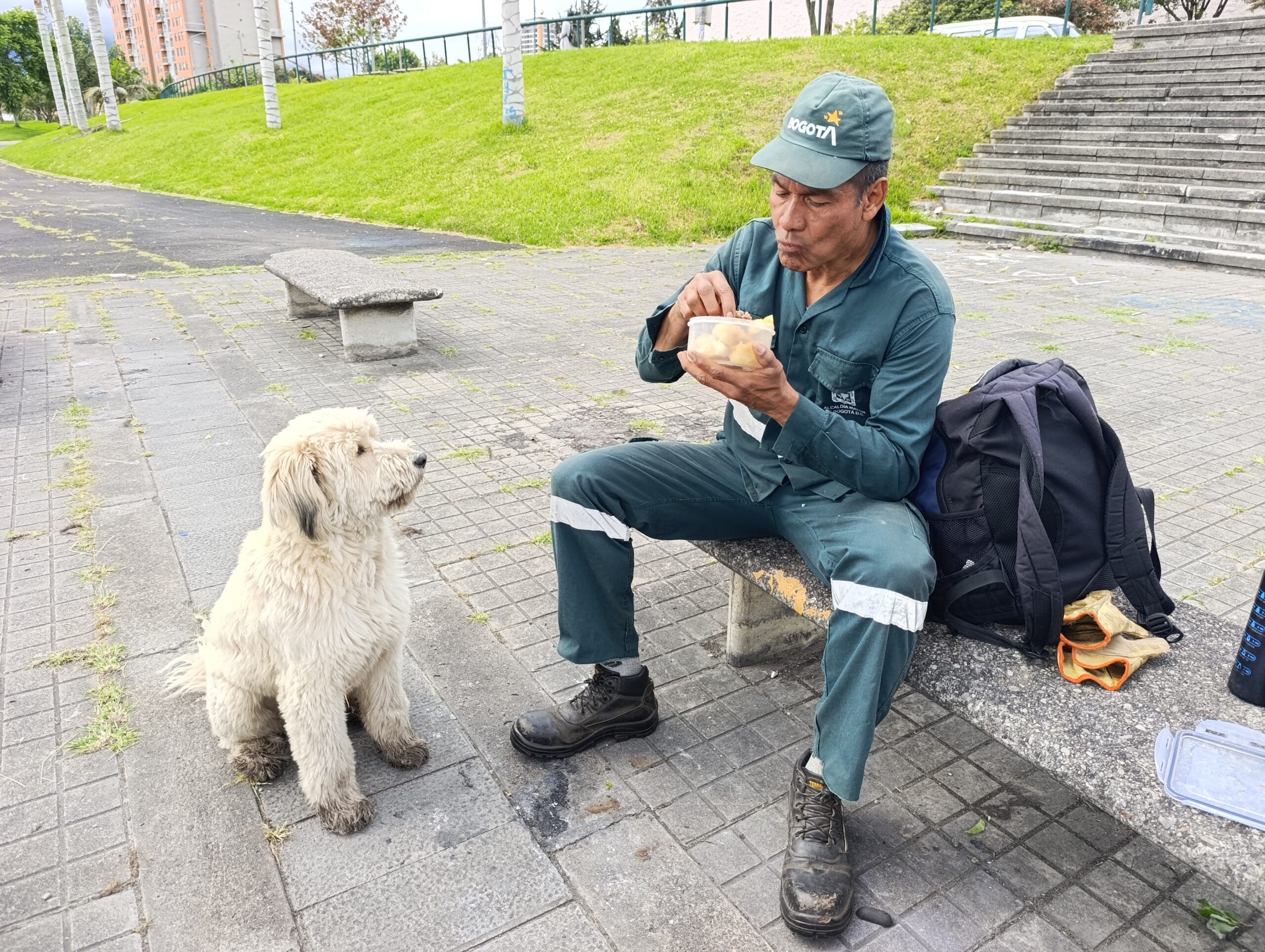 Historias del verde urbano: El guardián peludo de los árboles de Engativá