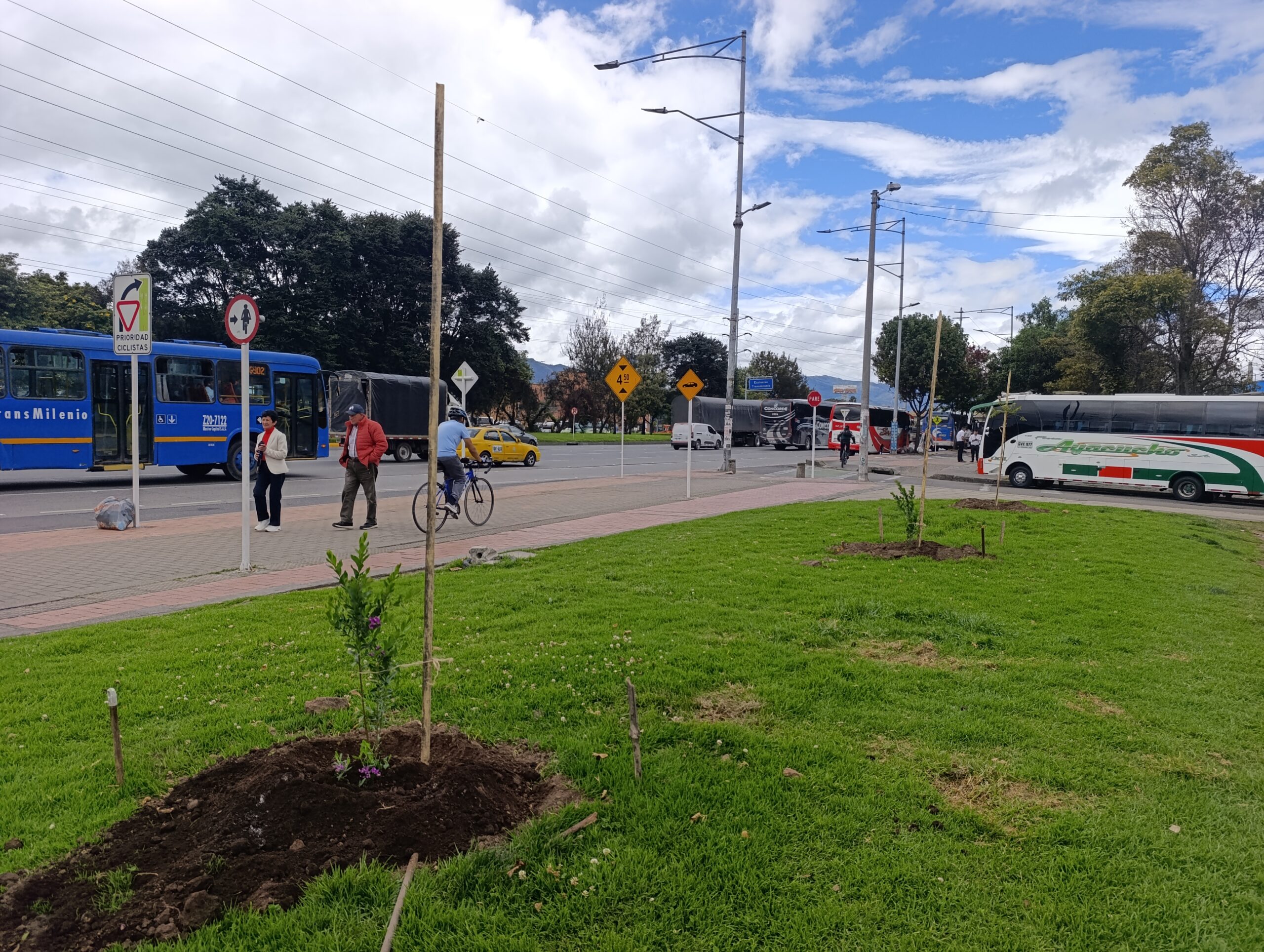 Historias del verde urbano: La oreja de la calle 183 con Autopista Norte estrenó arbolado