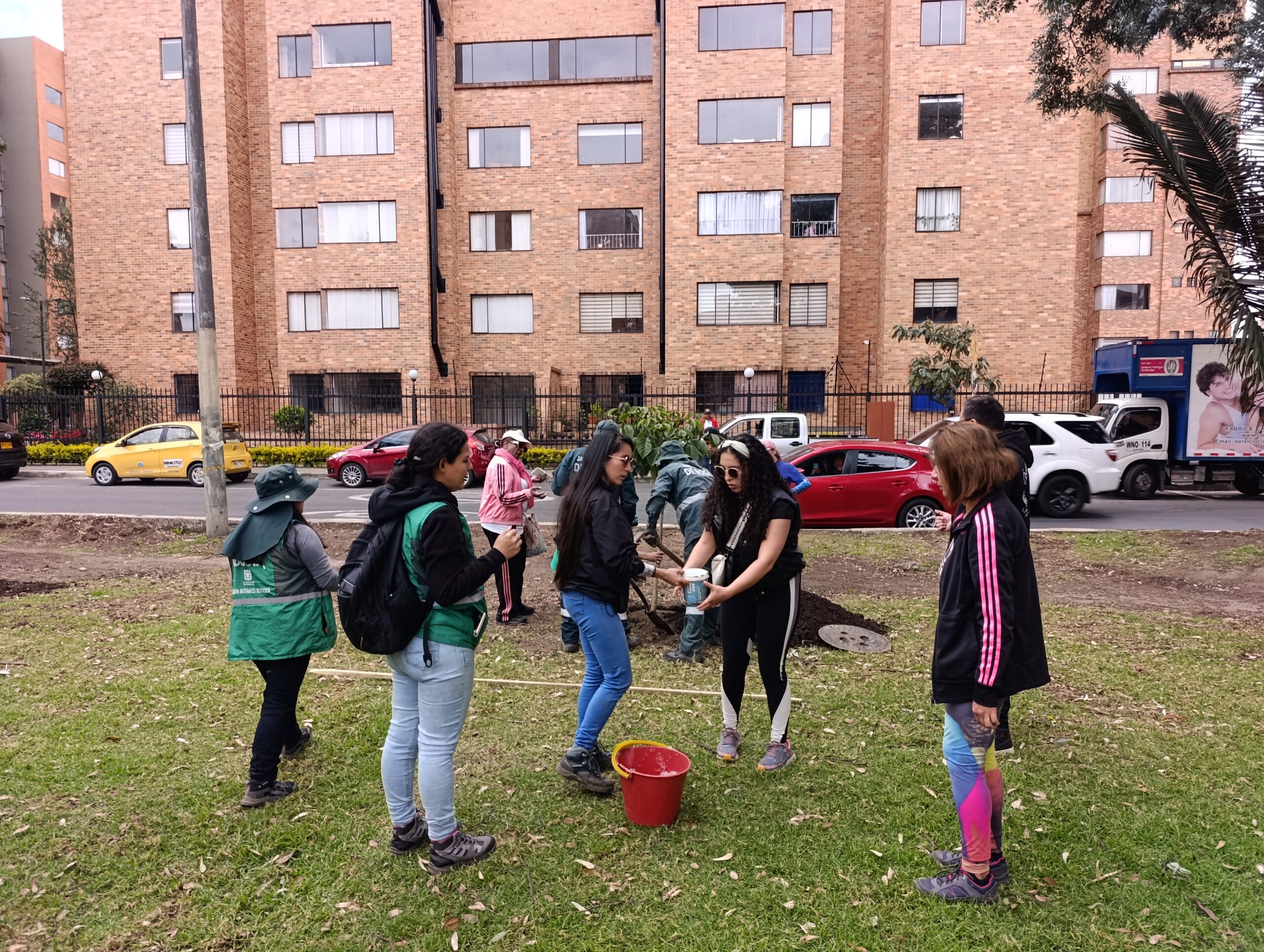 Historias del verde urbano: Alameda de Salitre Oriental diversifica su arbolado