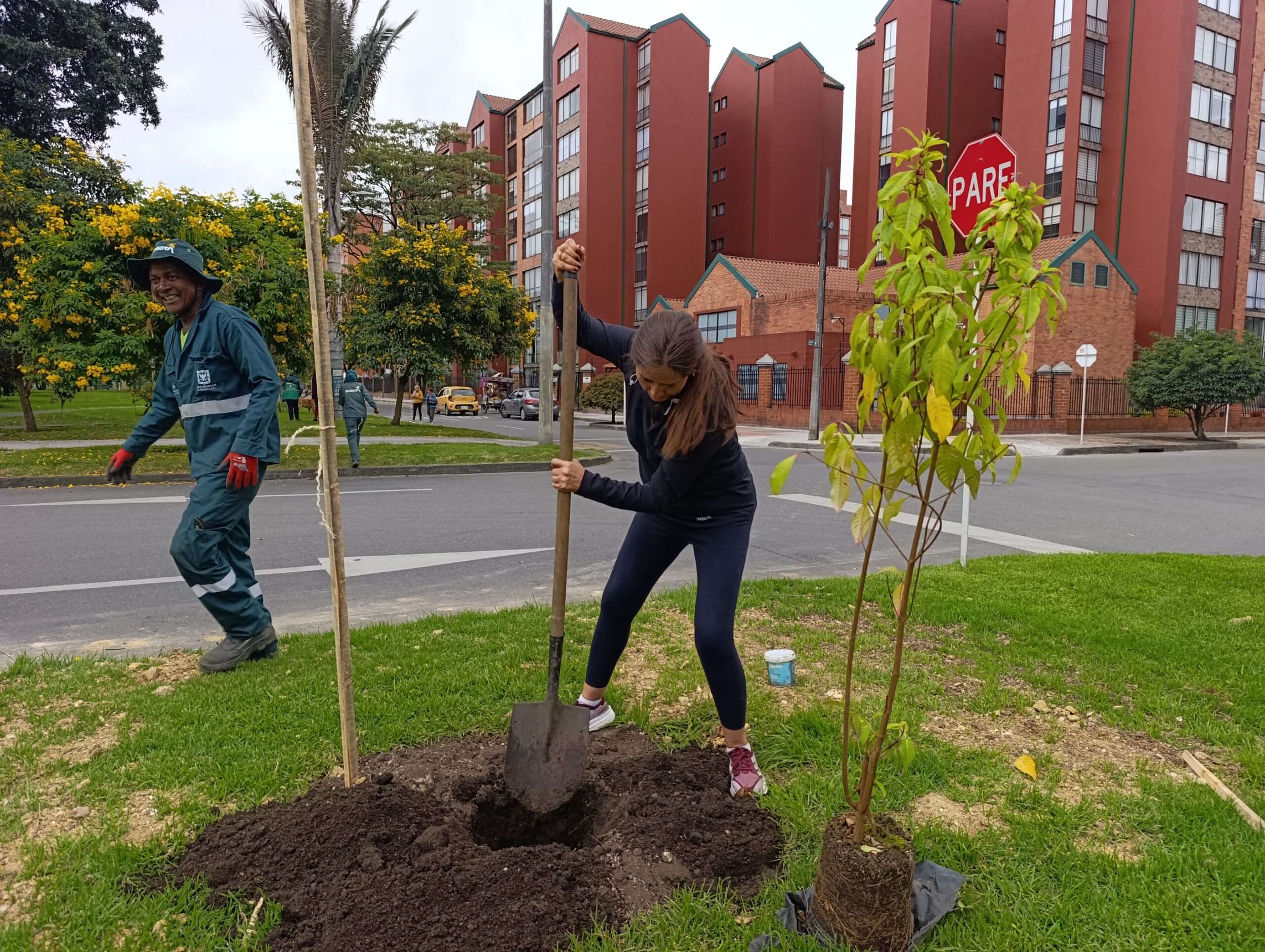 Historias del verde urbano: Alameda de Salitre Oriental diversifica su arbolado