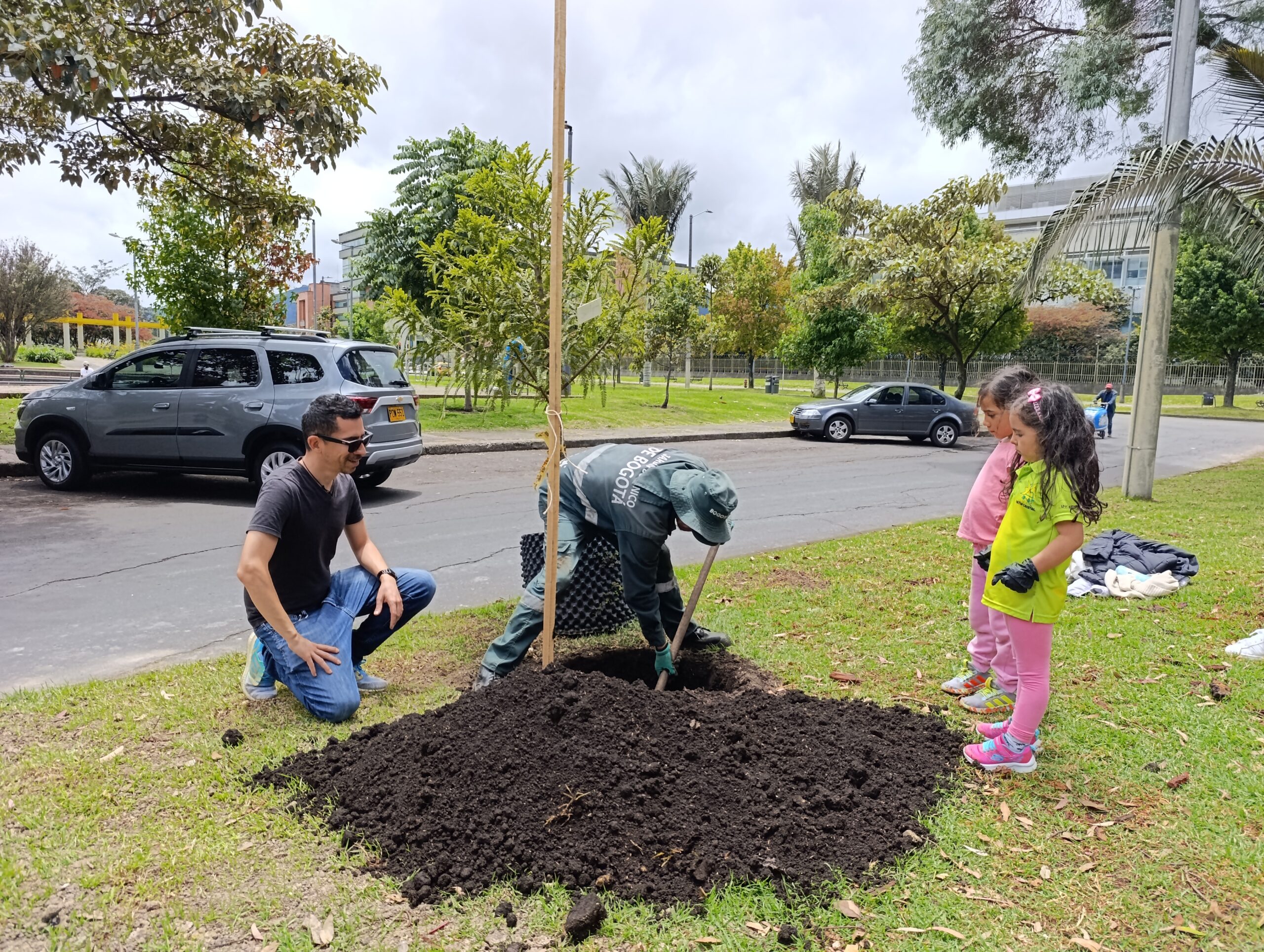 Historias del verde urbano: Alameda de Salitre Oriental diversifica su arbolado