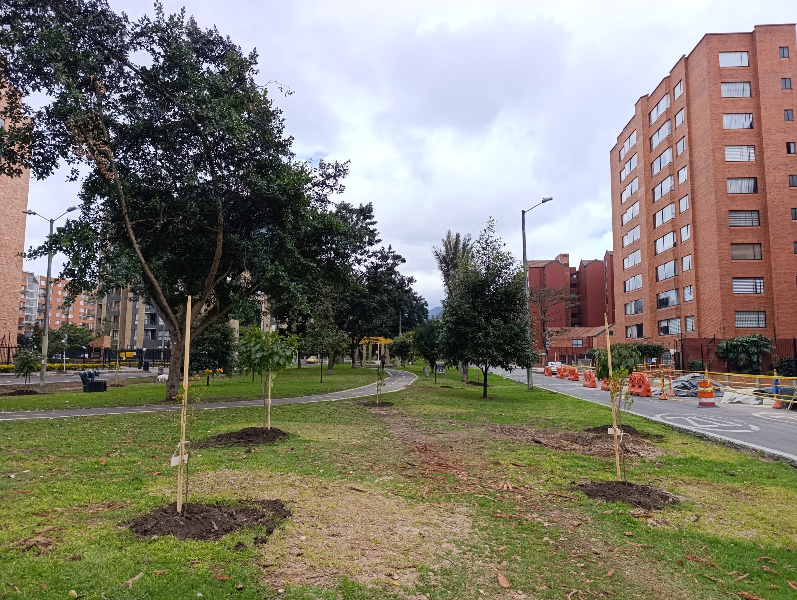 Historias del verde urbano: Alameda de Salitre Oriental diversifica su arbolado