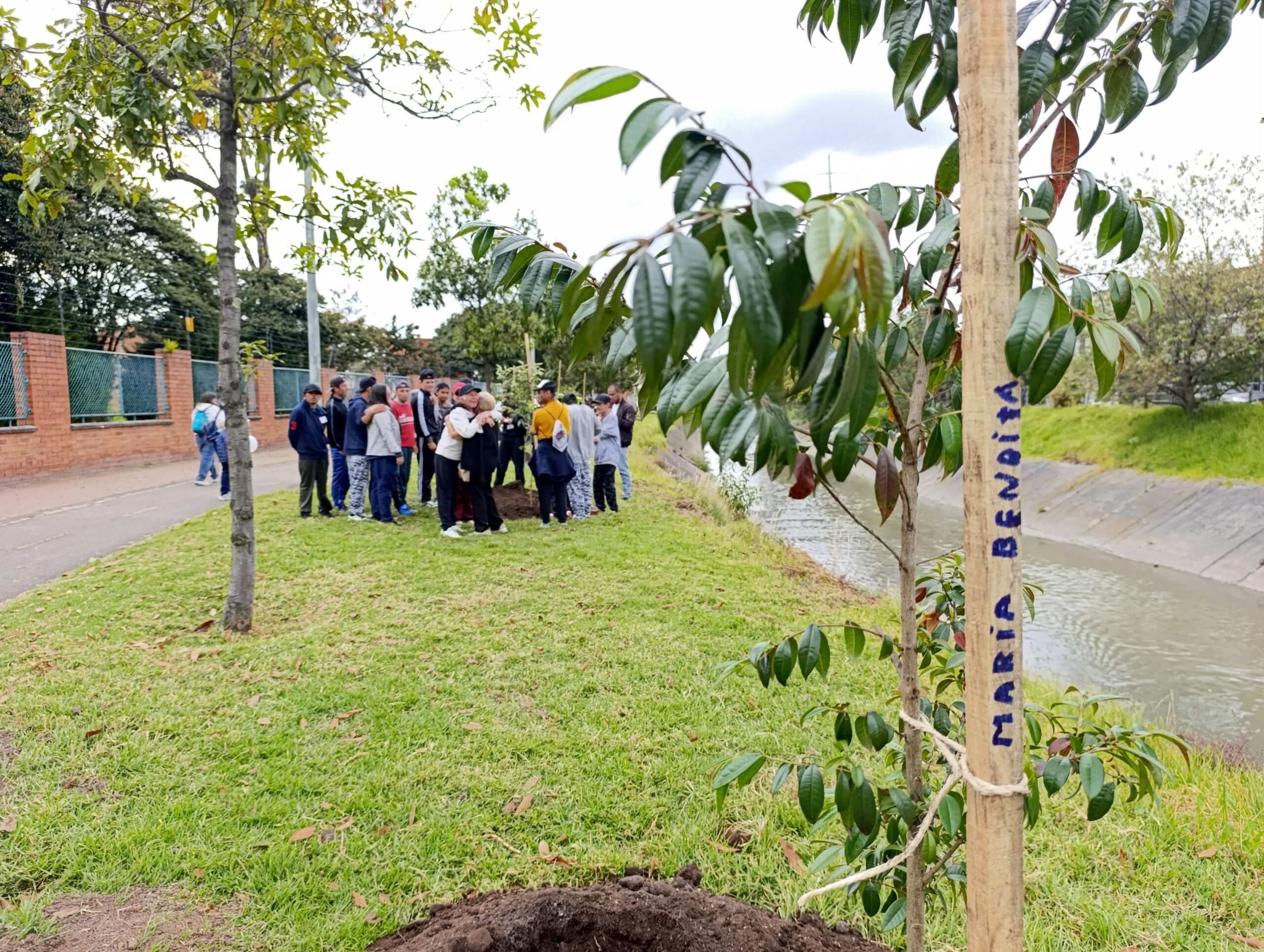 Historias del verde urbano: Plantación en memoria de Valeria Afanador: un homenaje verde a un ángel