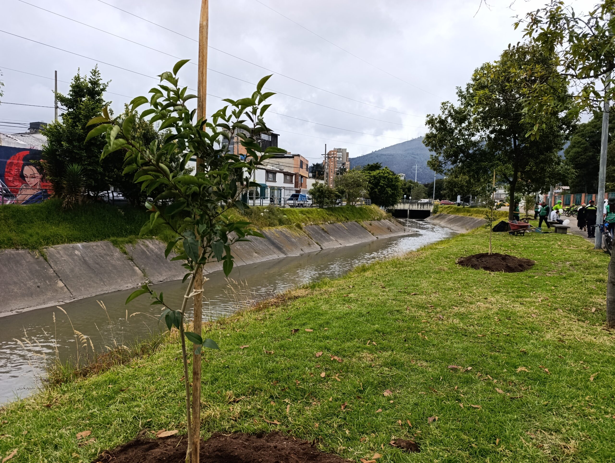 Historias del verde urbano: Plantación en memoria de Valeria Afanador: un homenaje verde a un ángel