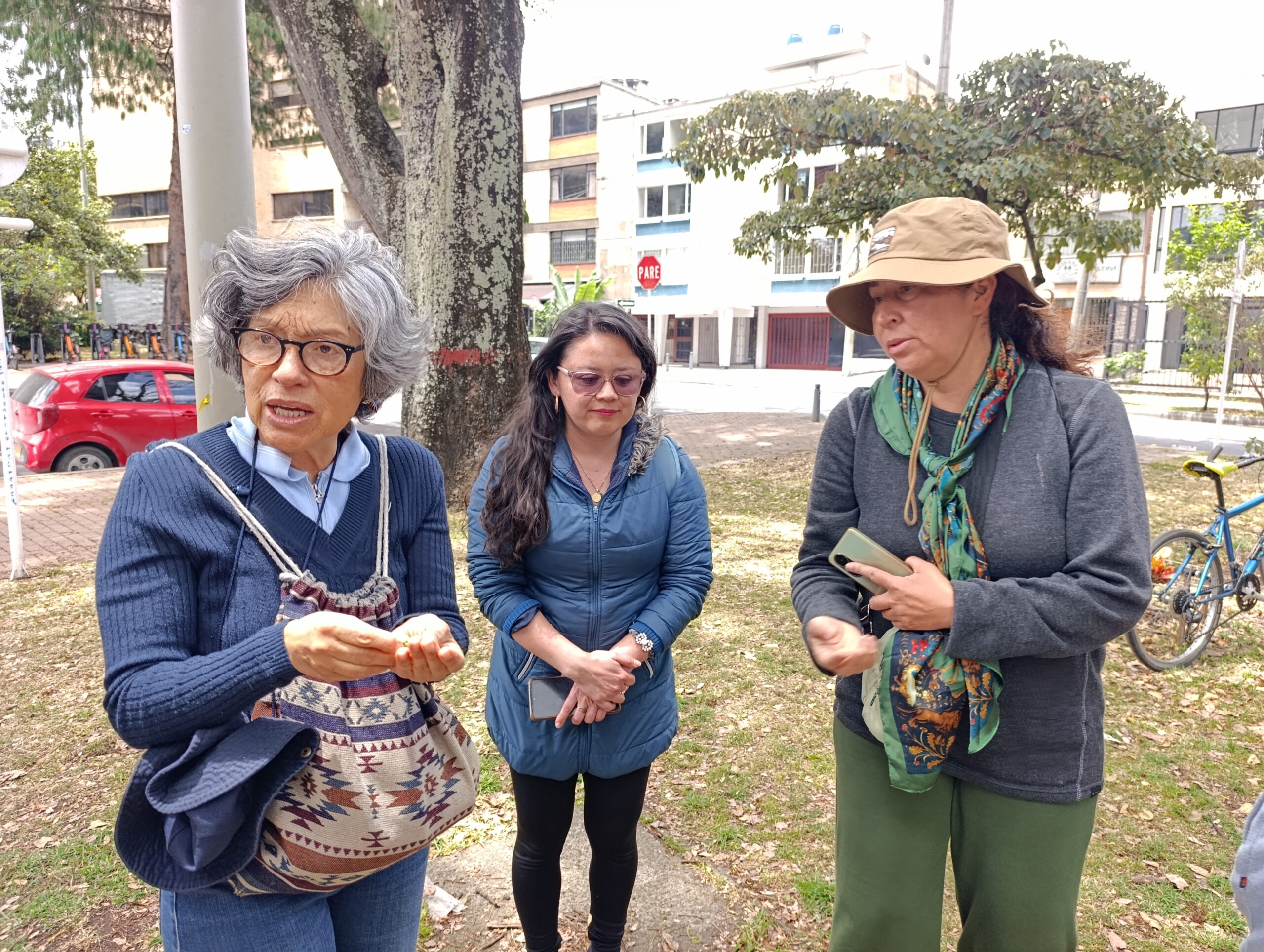 Historias del verde urbano: ¡Recorrido por el mundo de las ruderales, las plantas más guerreras!