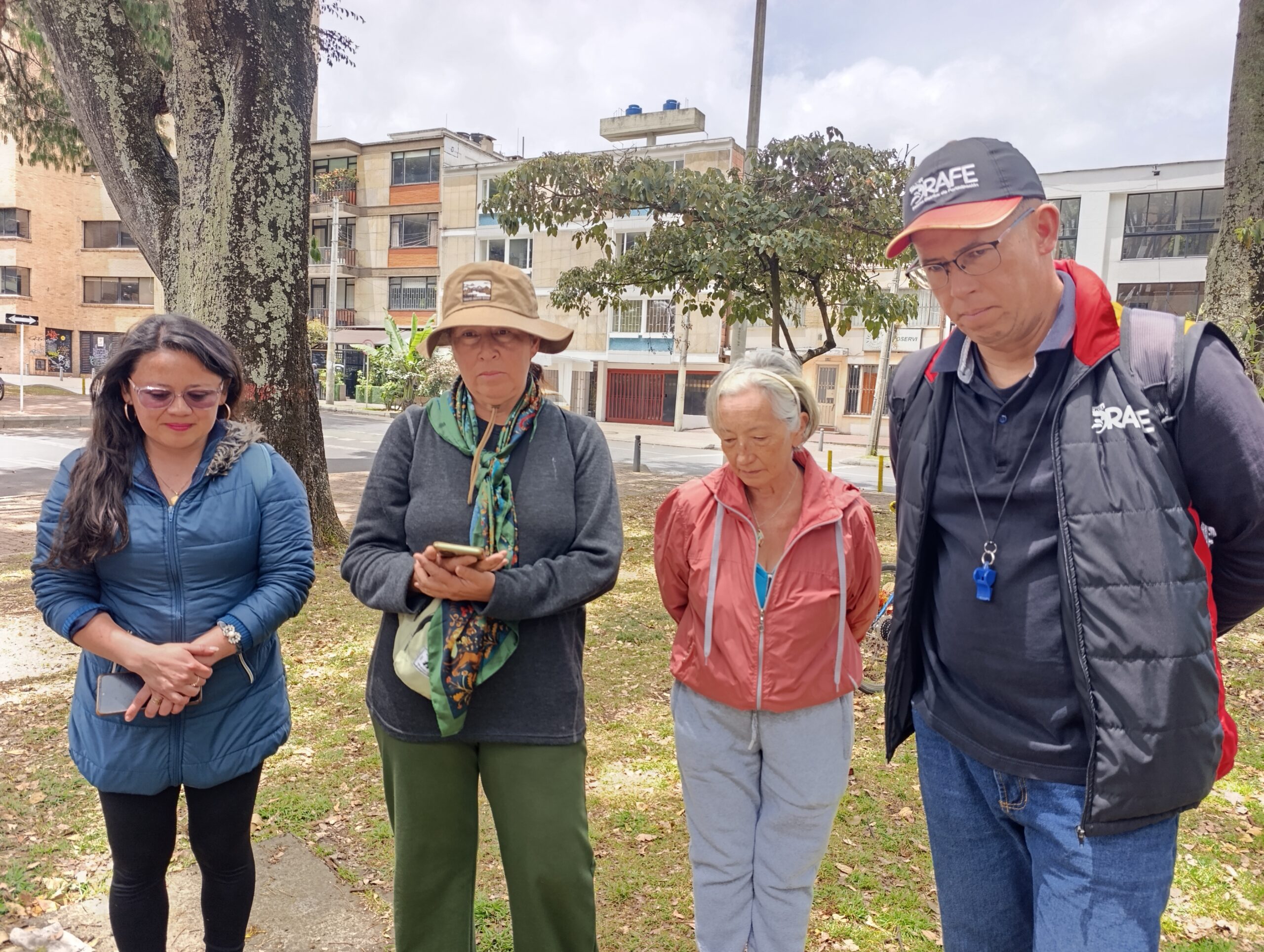Historias del verde urbano: ¡Recorrido por el mundo de las ruderales, las plantas más guerreras!