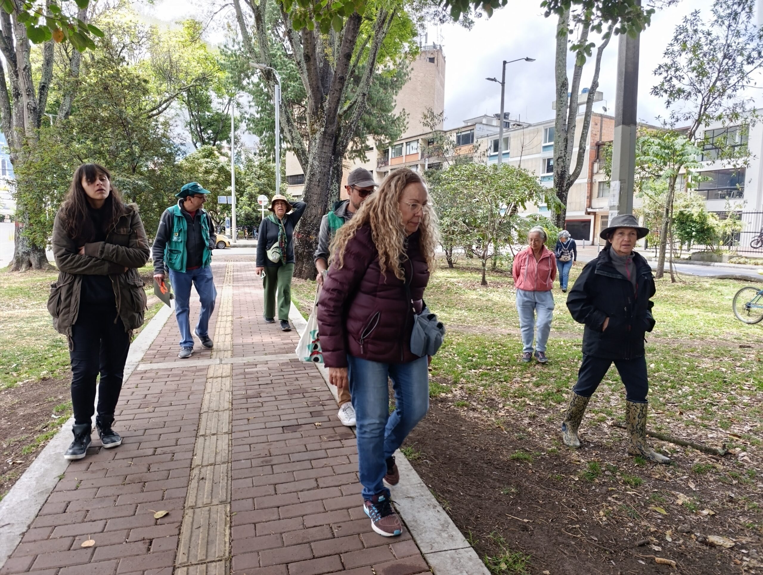 Historias del verde urbano: ¡Recorrido por el mundo de las ruderales, las plantas más guerreras!
