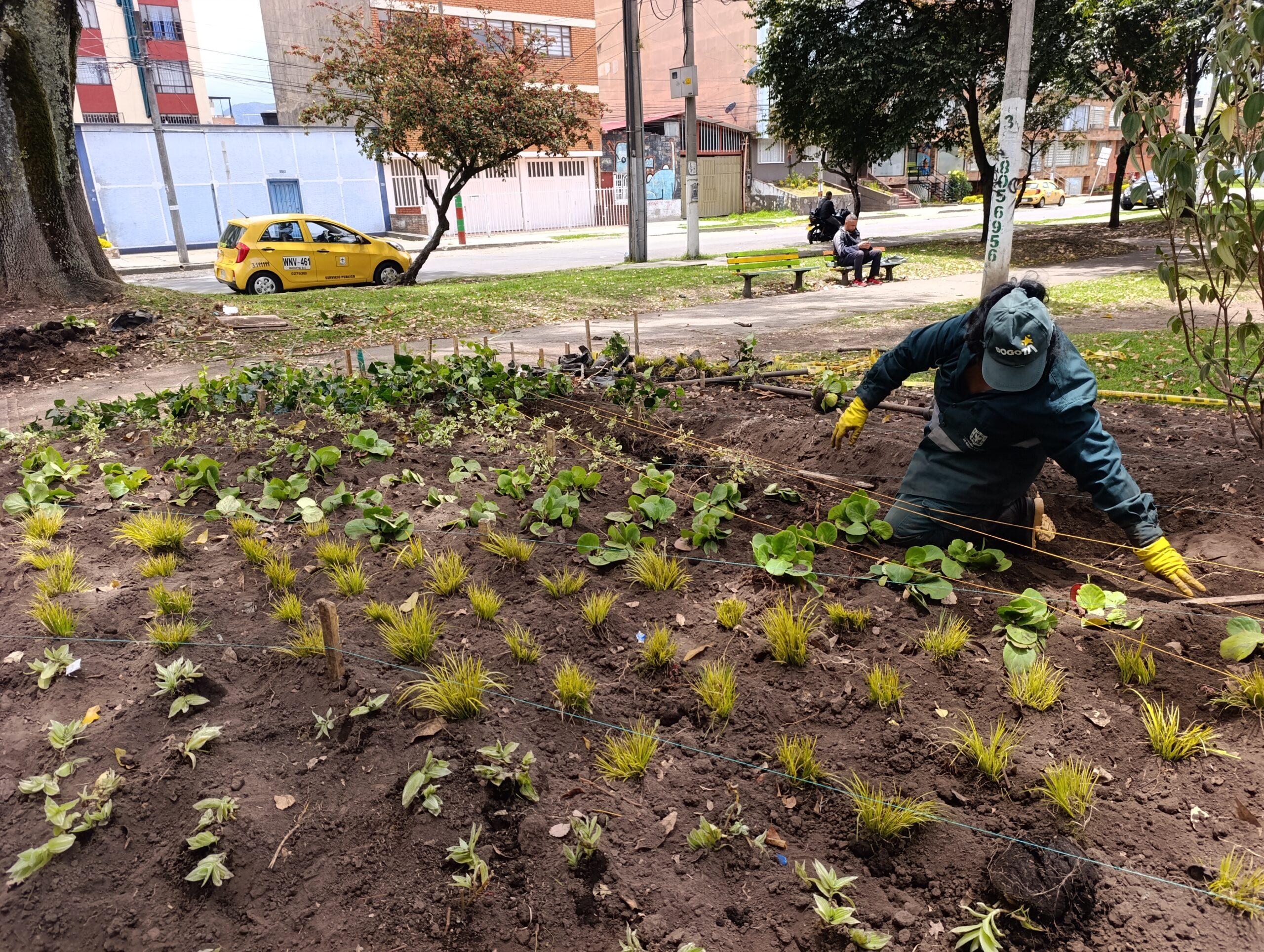 Historias del verde urbano: Veraguas Central: un parque de Puente Aranda que recuperó sus jardineras