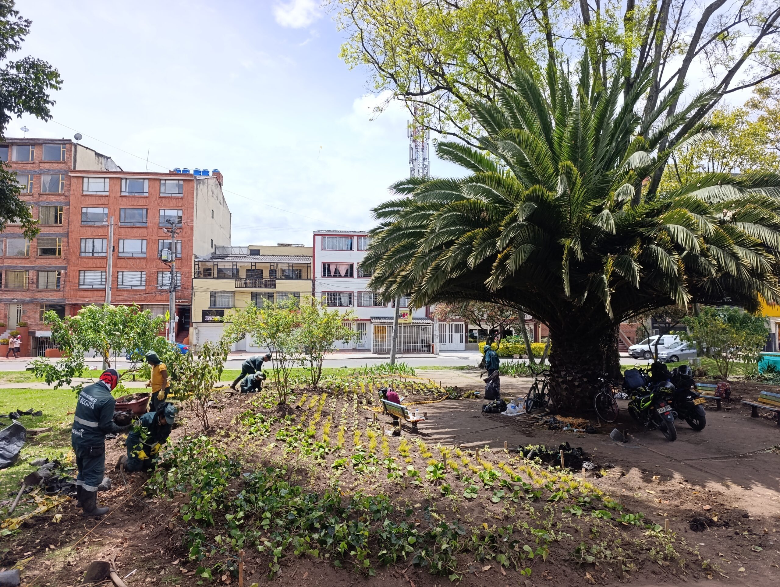 Historias del verde urbano: Veraguas Central: un parque de Puente Aranda que recuperó sus jardineras