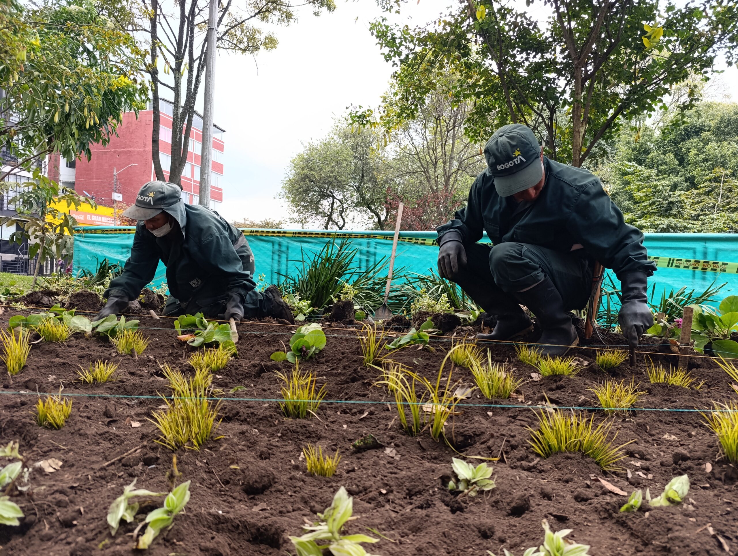 Historias del verde urbano: Veraguas Central: un parque de Puente Aranda que recuperó sus jardineras