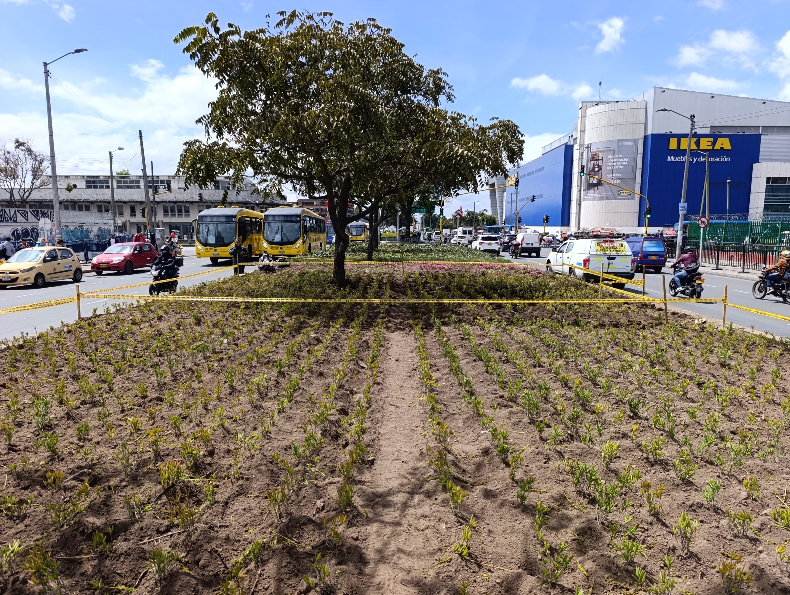 Historias del verde urbano: Avanza la recuperación de las jardineras de Paloquemao