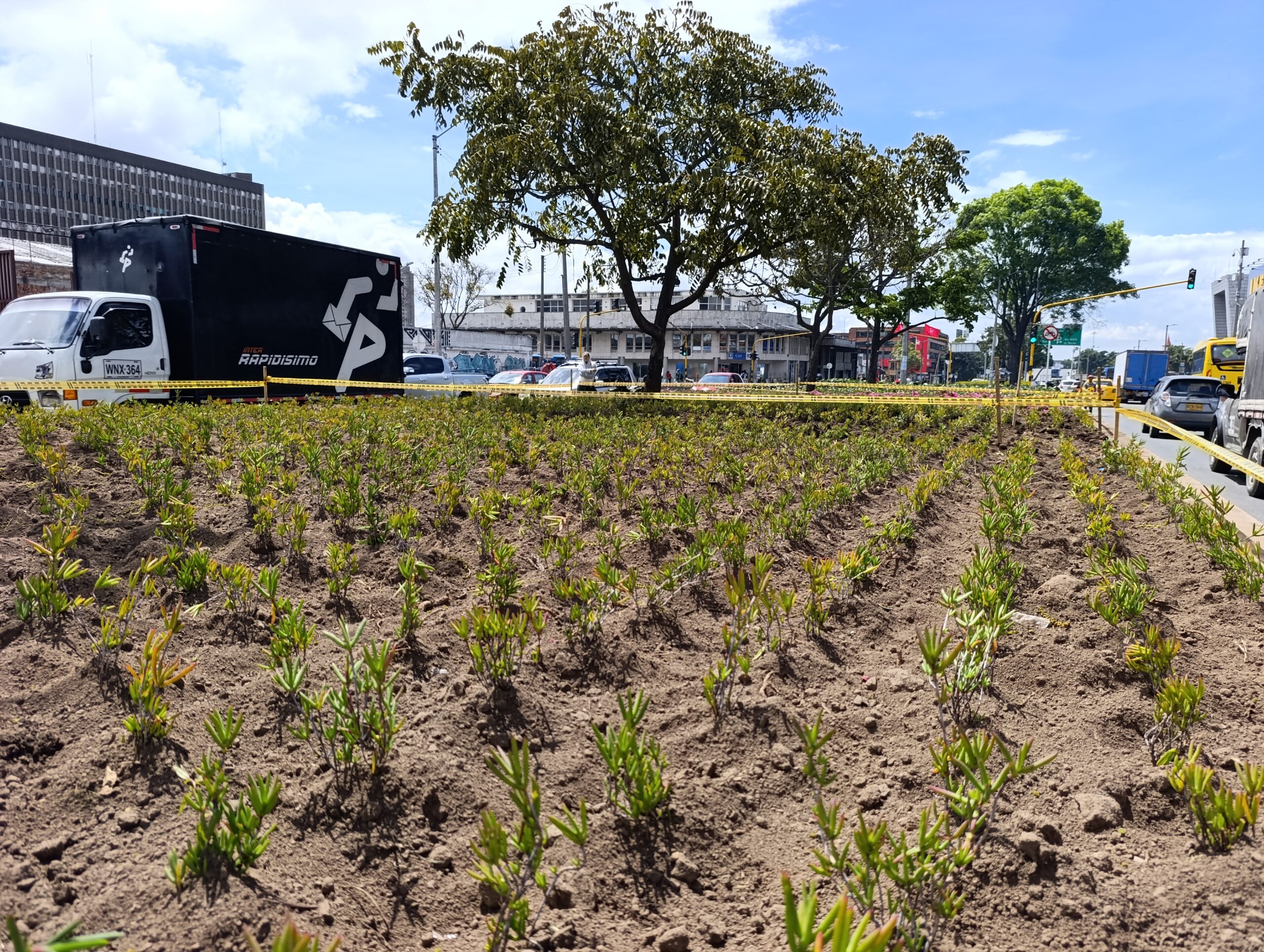 Historias del verde urbano: Avanza la recuperación de las jardineras de Paloquemao