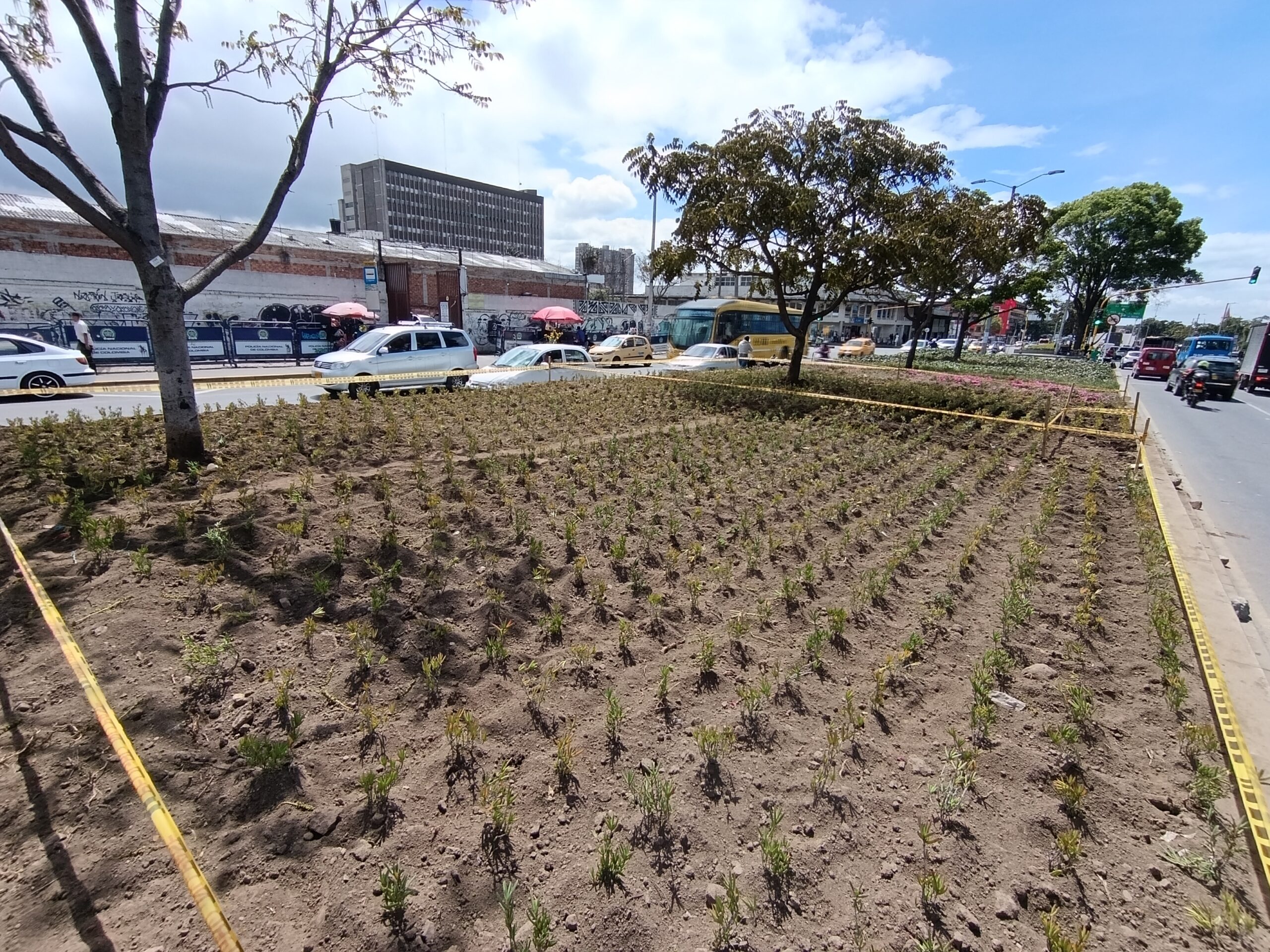 Historias del verde urbano: Avanza la recuperación de las jardineras de Paloquemao