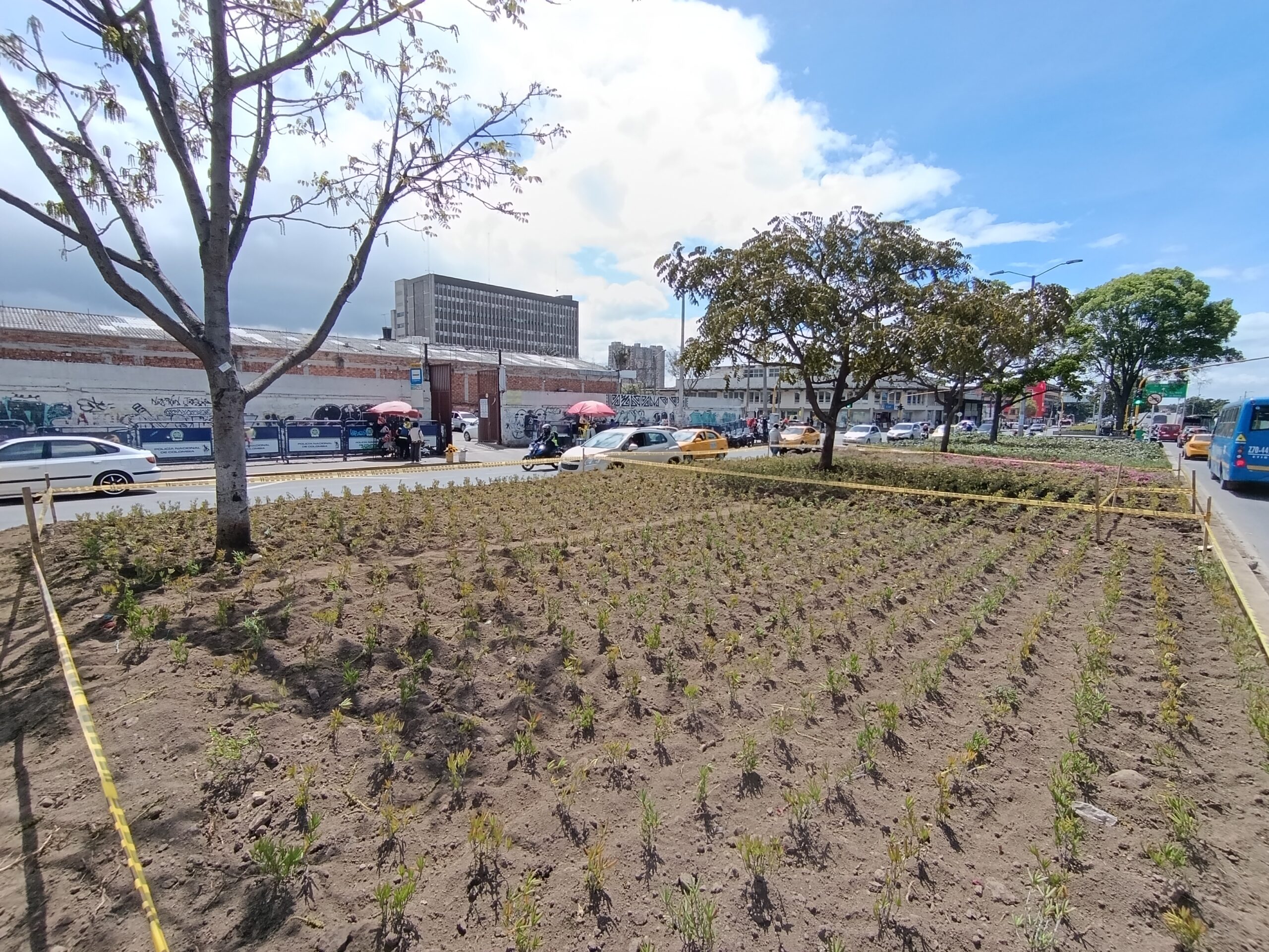 Historias del verde urbano: Avanza la recuperación de las jardineras de Paloquemao