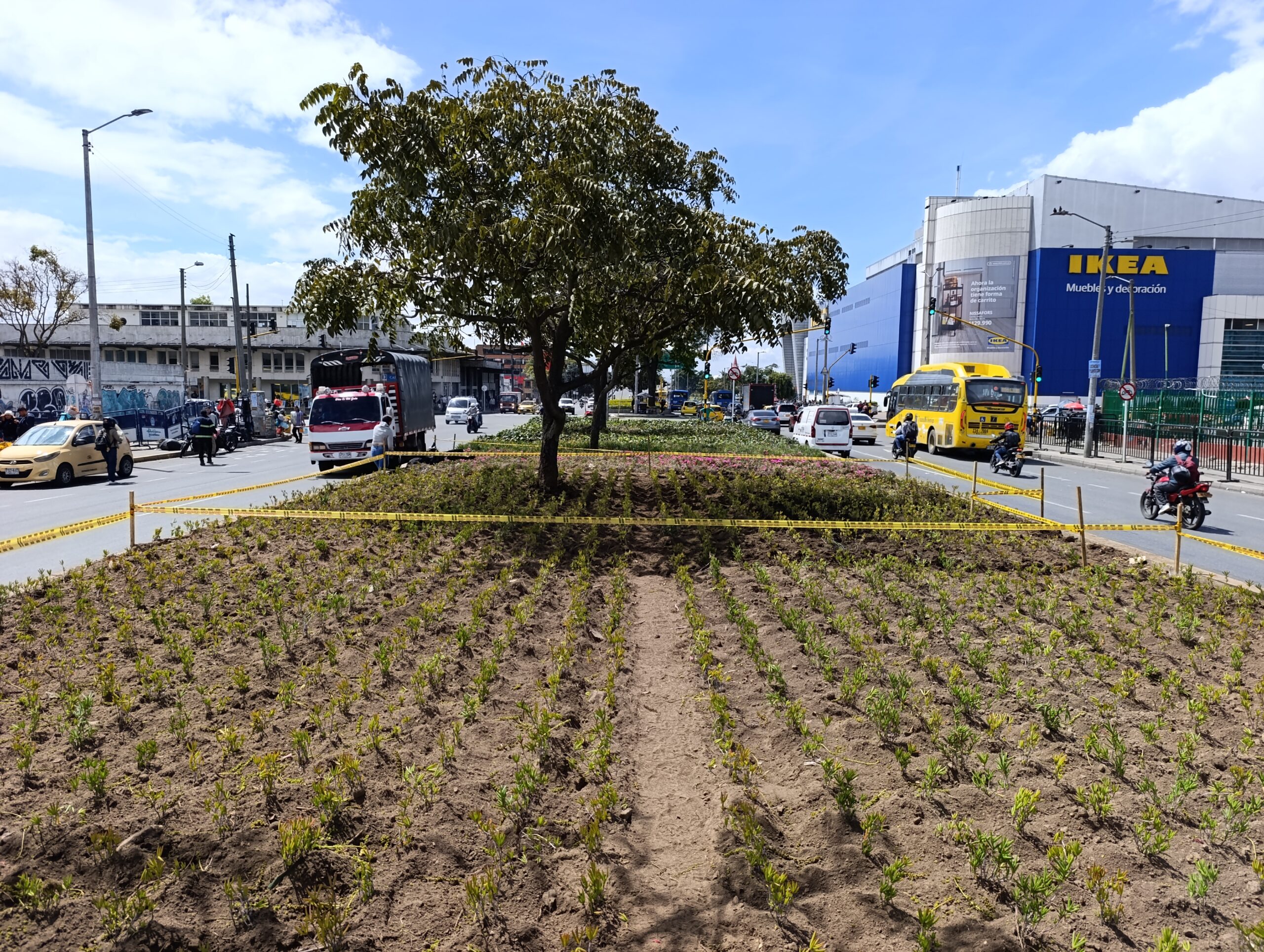 Historias del verde urbano: Avanza la recuperación de las jardineras de Paloquemao