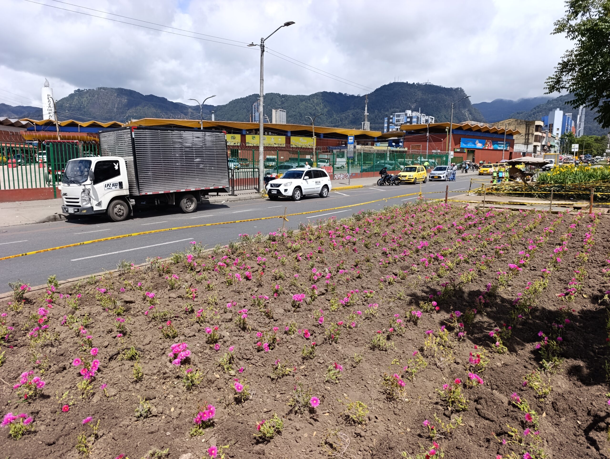 Historias del verde urbano: Avanza la recuperación de las jardineras de Paloquemao