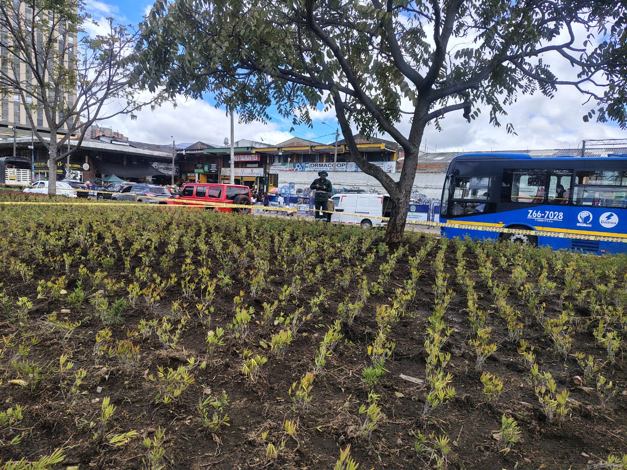 Historias del verde urbano: Avanza la recuperación de las jardineras de Paloquemao
