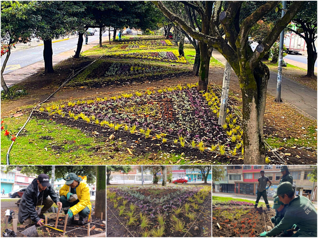 Historias del verde urbano: Las siete nuevas maravillas florales del Gustavo Restrepo