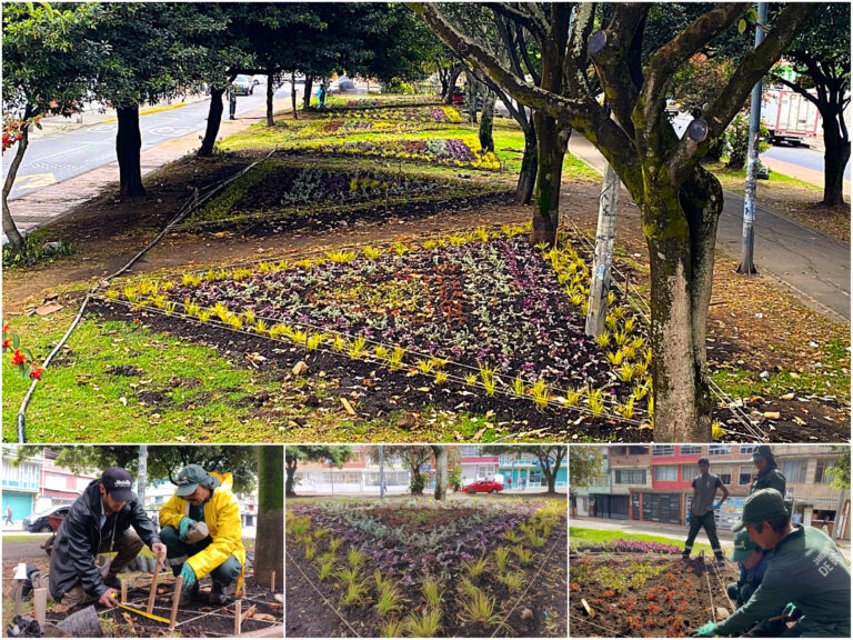 Historias del verde urbano: Las siete nuevas maravillas florales del Gustavo Restrepo