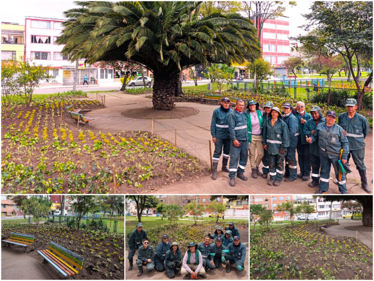 Historias del verde urbano: Veraguas Central: un parque de Puente Aranda que recuperó sus jardineras