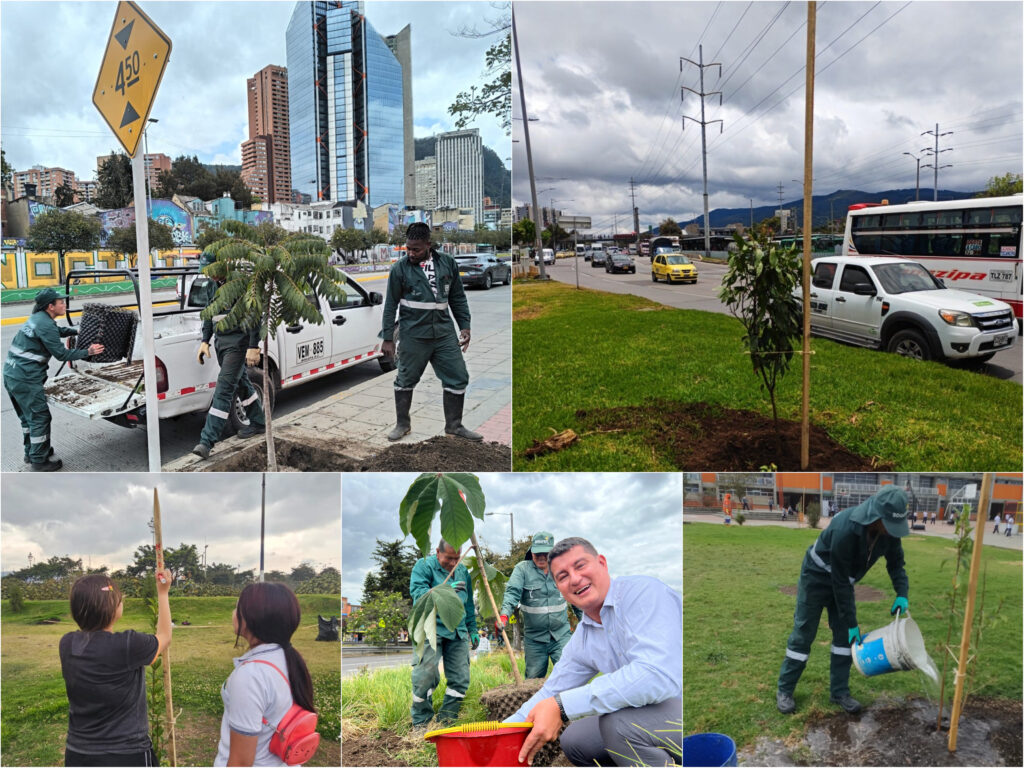 Historias del verde urbano: ¡La Autopista Norte y la calle 26 se renaturalizan!
