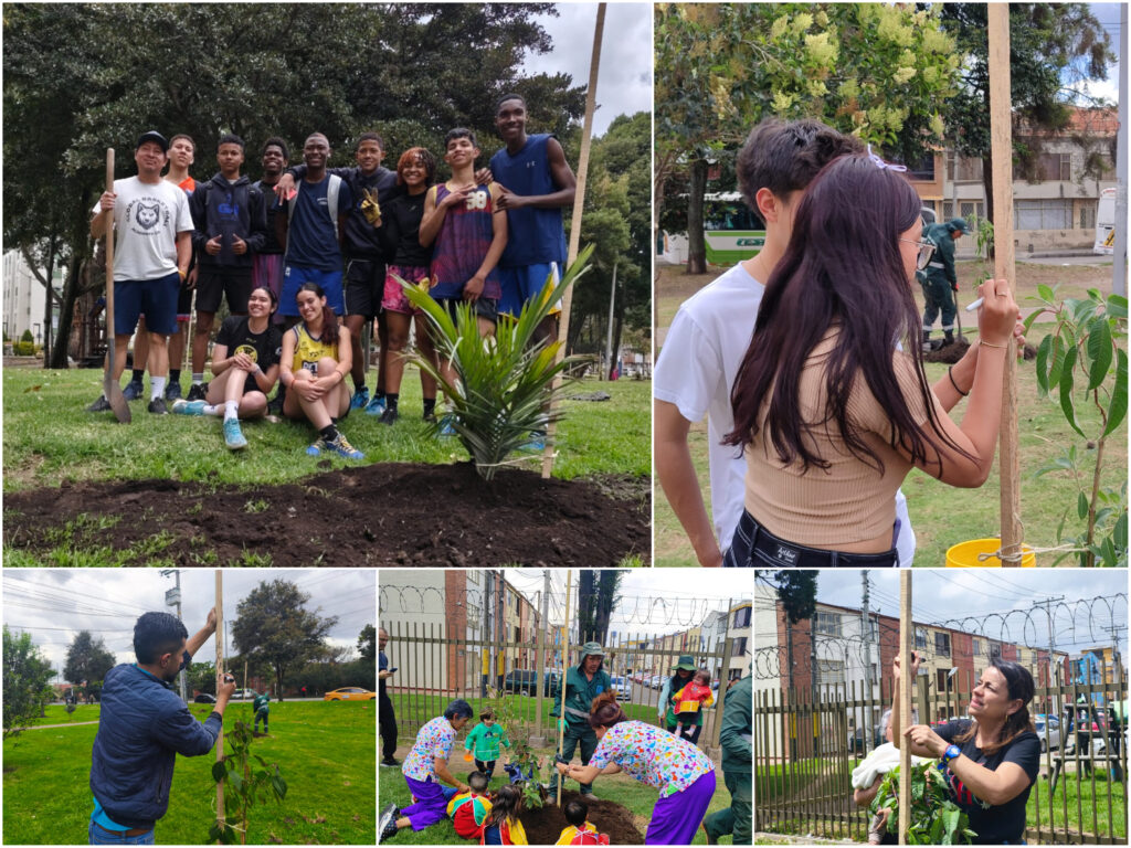 Historias del verde urbano: ¡Engativá, Suba y Usaquén intensifican su verde!