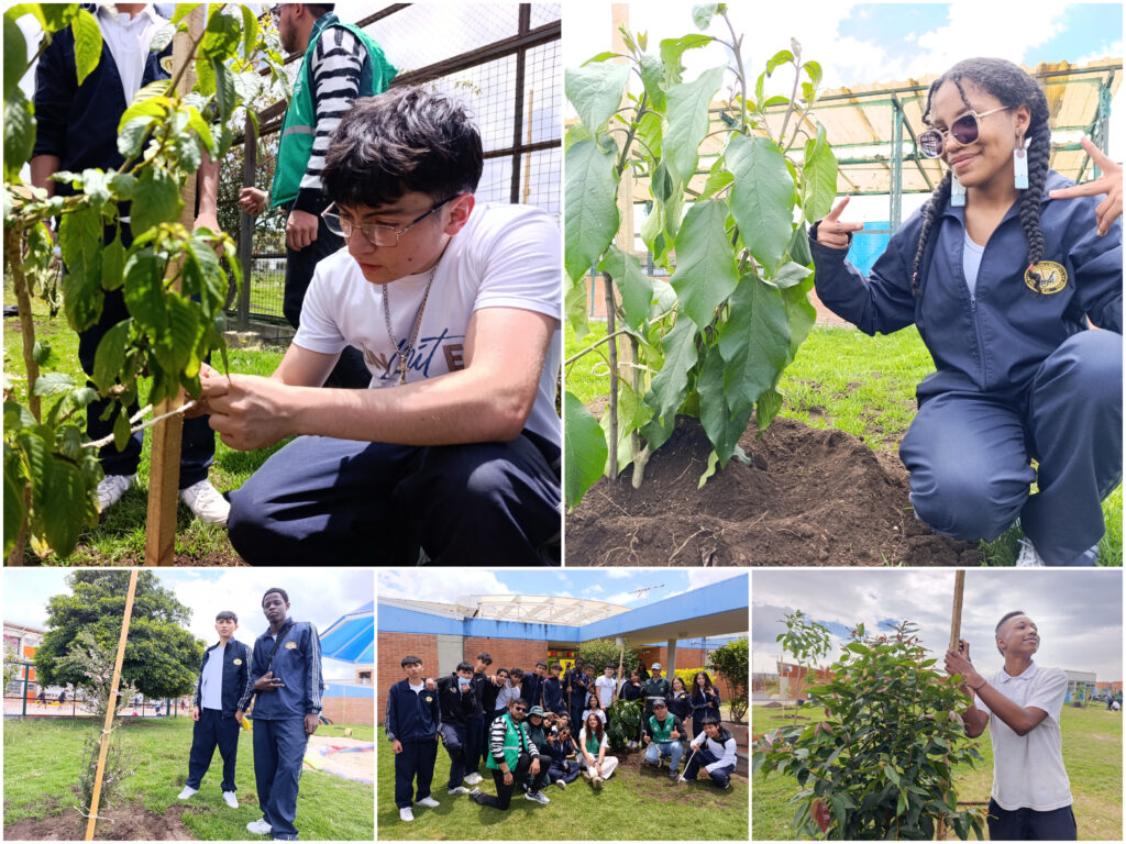 Historias del verde urbano: Los nuevos habitantes verdes del colegio Ciudadela Educativa de Bosa