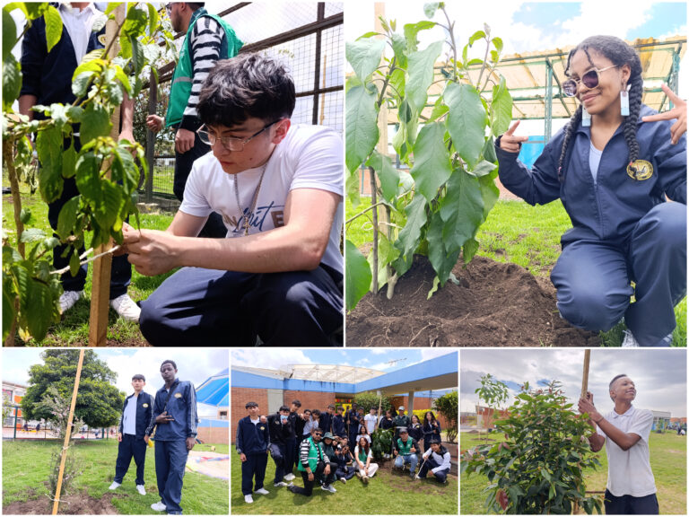 Historias del verde urbano: Los nuevos habitantes verdes del colegio Ciudadela Educativa de Bosa