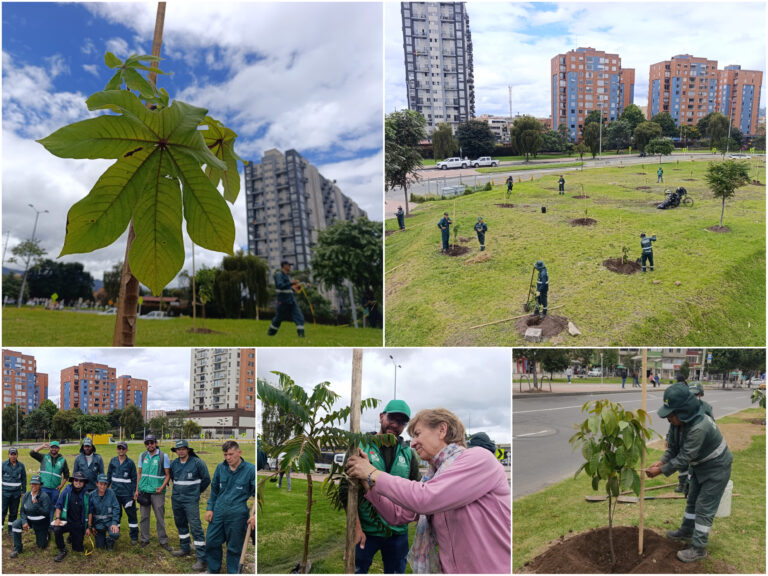 Historias del verde urbano: La oreja de la calle 183 con Autopista Norte estrenó arbolado