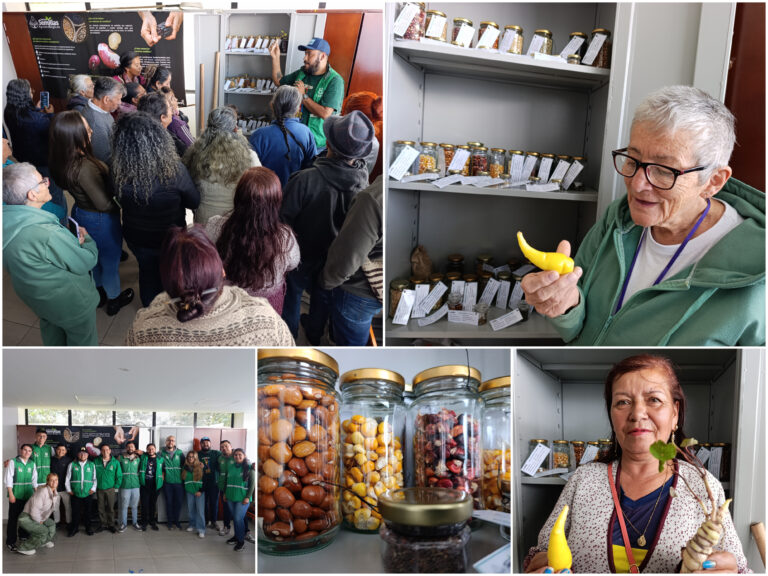 Historias del verde urbano: Ciudad Bolívar abre las puertas de su banco comunitario de semillas agroecológicas