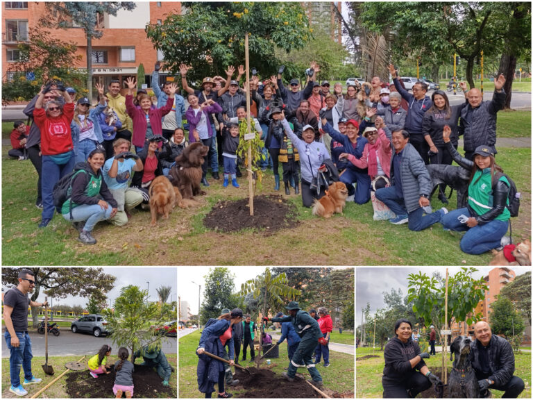 Historias del verde urbano: Alameda de Salitre Oriental diversifica su arbolado