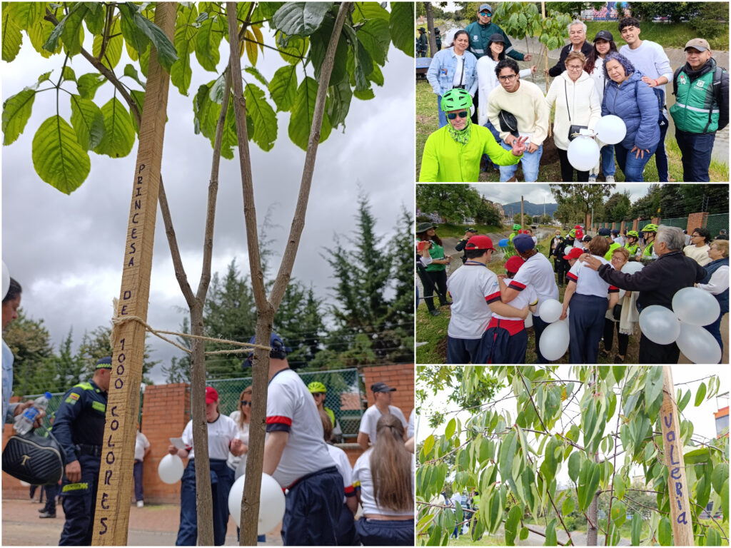 Historias del verde urbano: Plantación en memoria de Valeria Afanador: un homenaje verde a un ángel