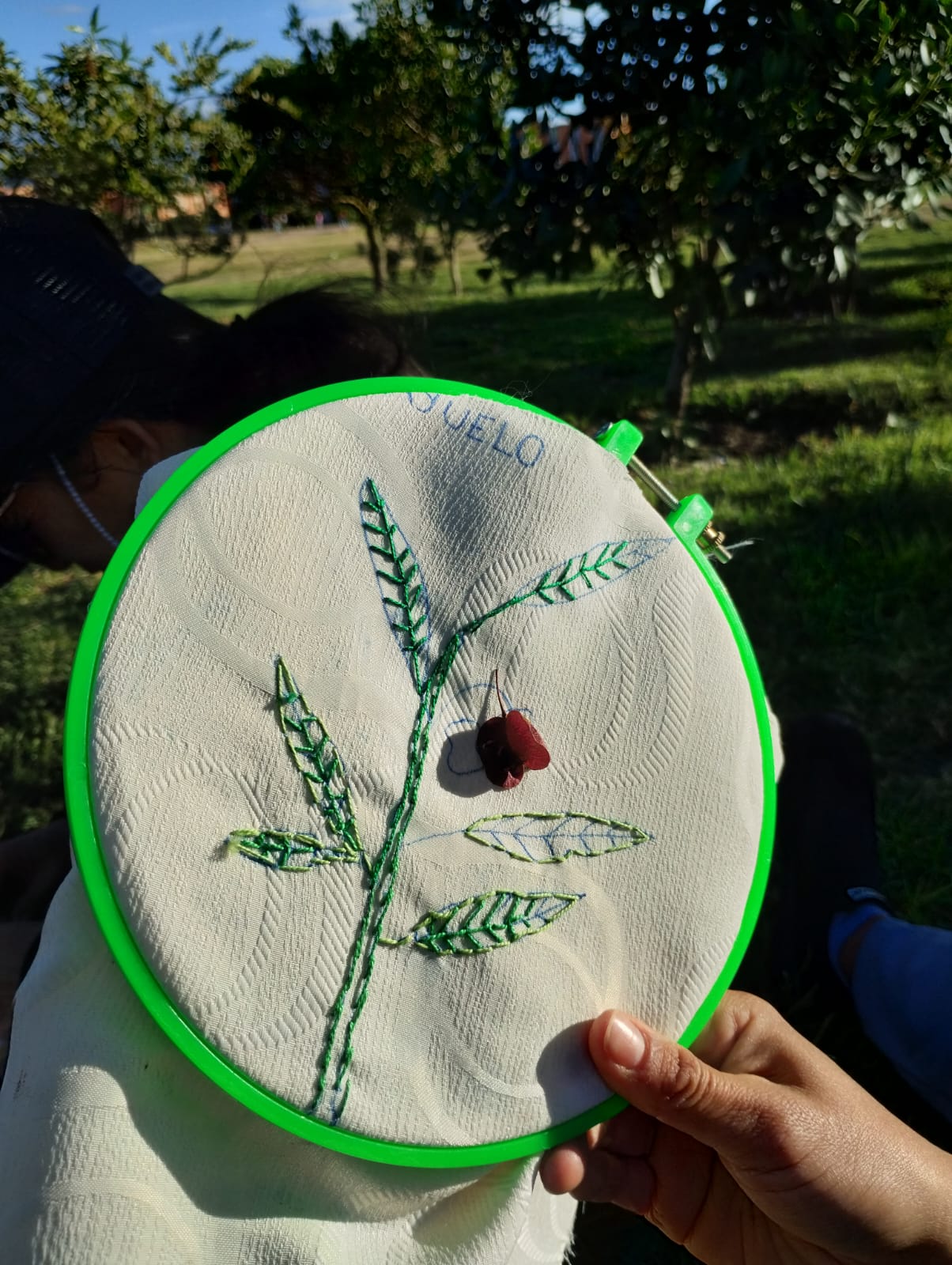 Tejiendo territorios: El Bosque Urbano Tierra Viva, escenario de aprendizaje y creación colectiva