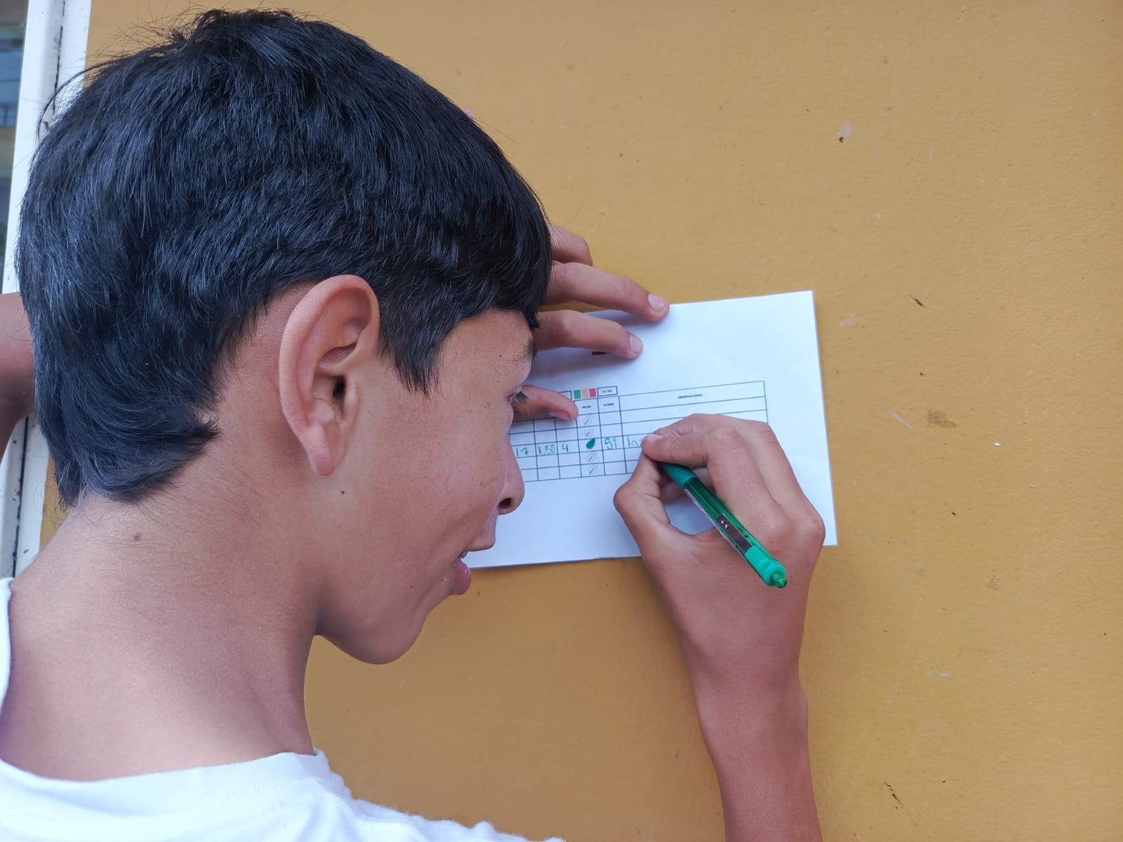 Historias del verde urbano: El sur de Bogotá se renaturaliza con la comunidad estudiantil y la empresa privada