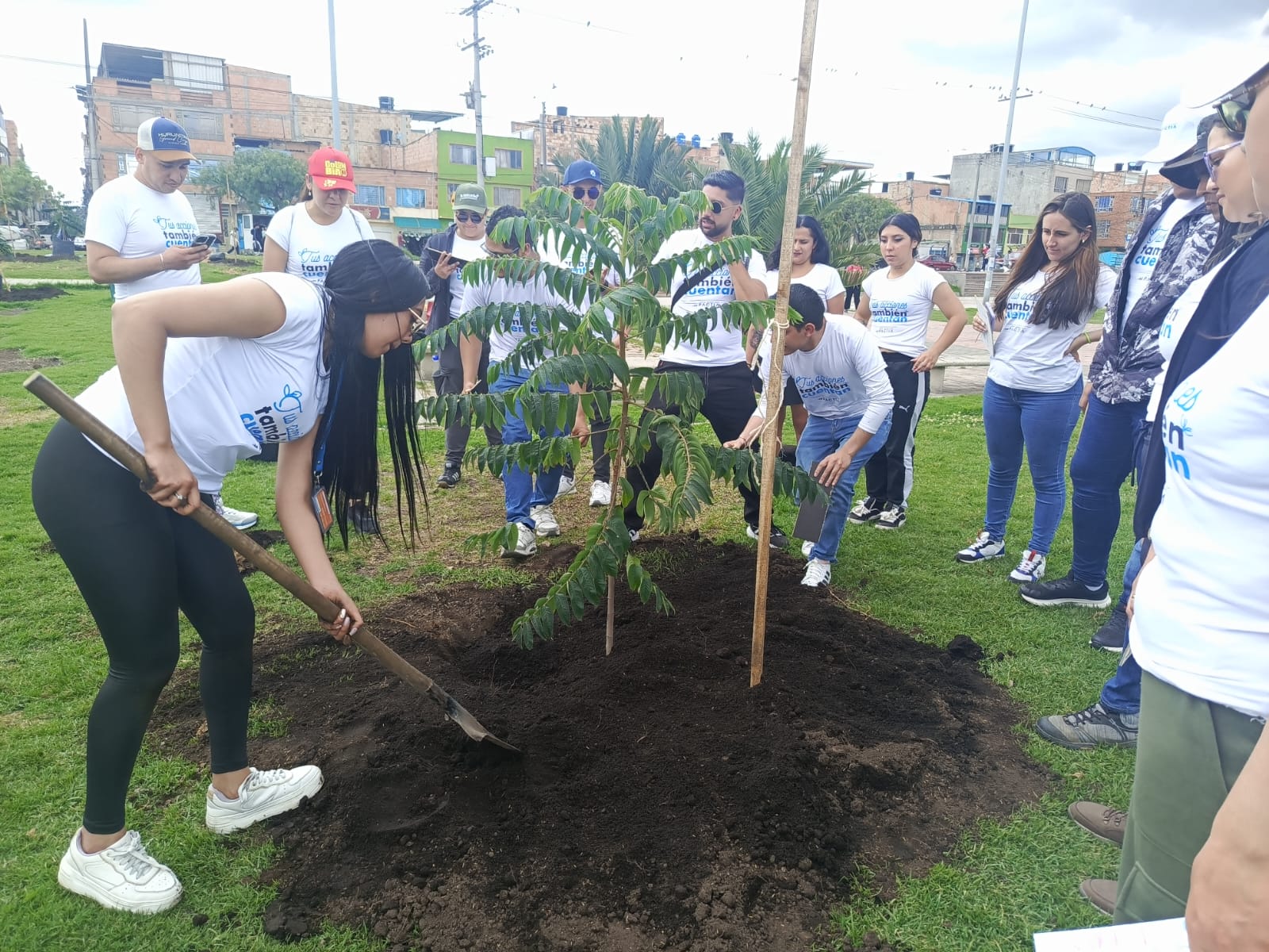 Historias del verde urbano: El sur de Bogotá se renaturaliza con la comunidad estudiantil y la empresa privada