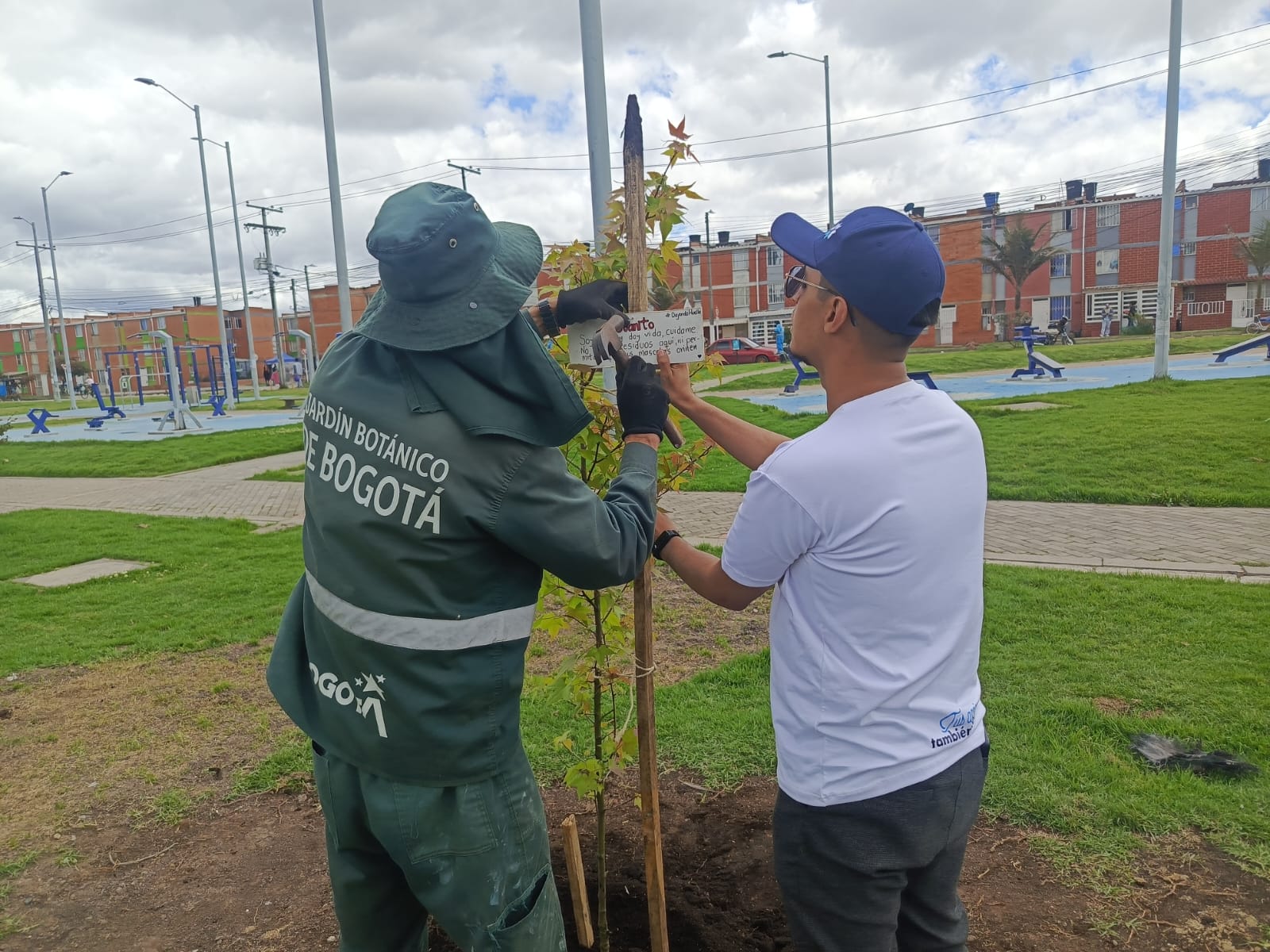 Historias del verde urbano: El sur de Bogotá se renaturaliza con la comunidad estudiantil y la empresa privada