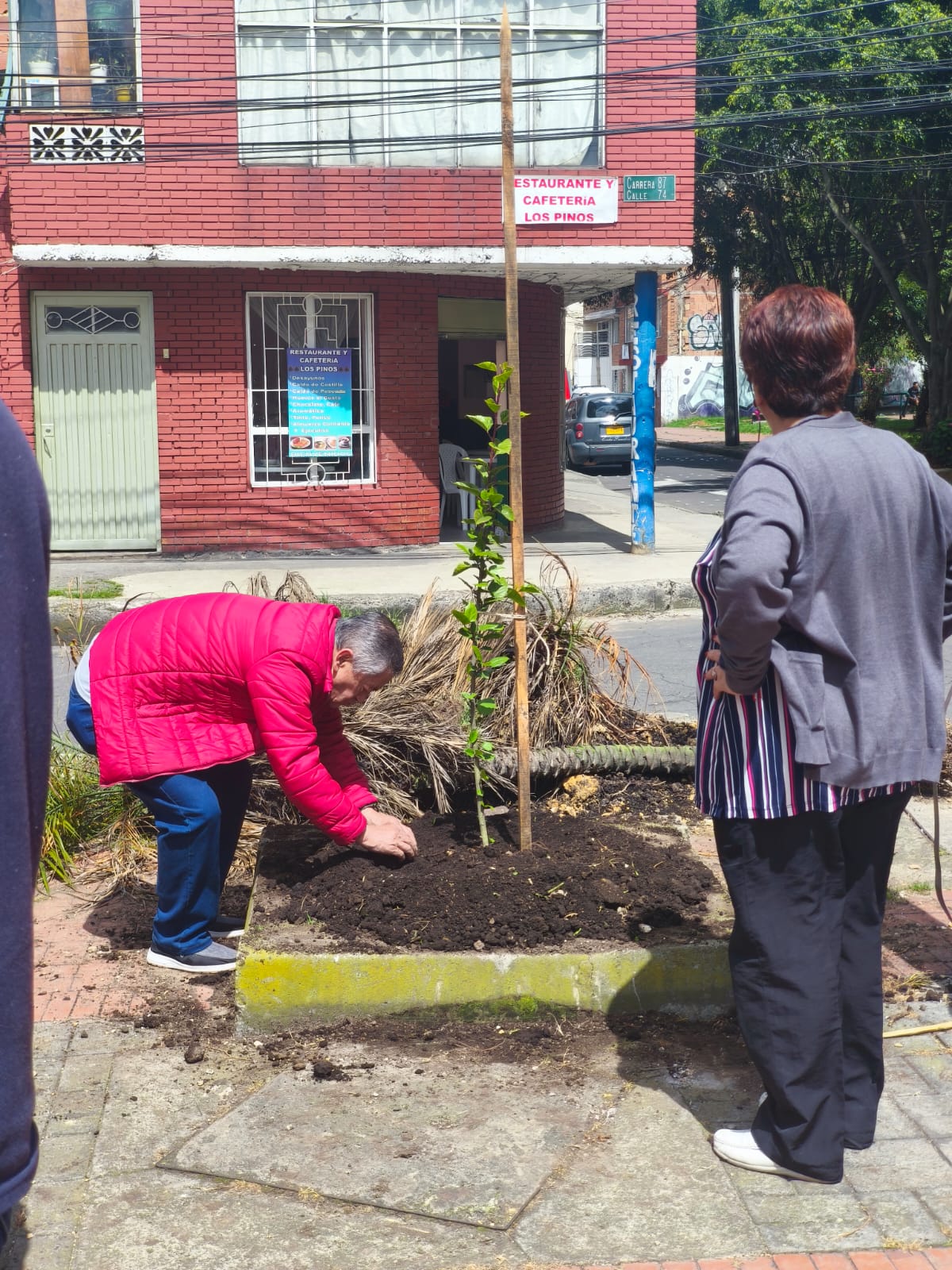 Historias del verde urbano: ¡89 nuevos árboles y arbustos en Engativá, Fontibón y Santa Fe!