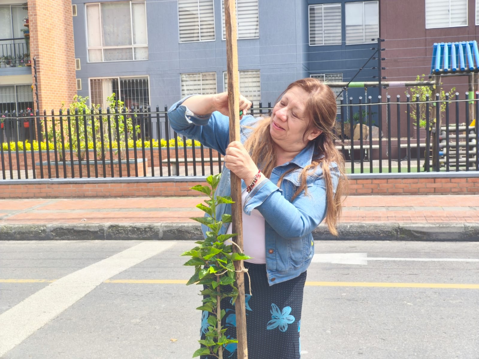 Historias del verde urbano: ¡89 nuevos árboles y arbustos en Engativá, Fontibón y Santa Fe!