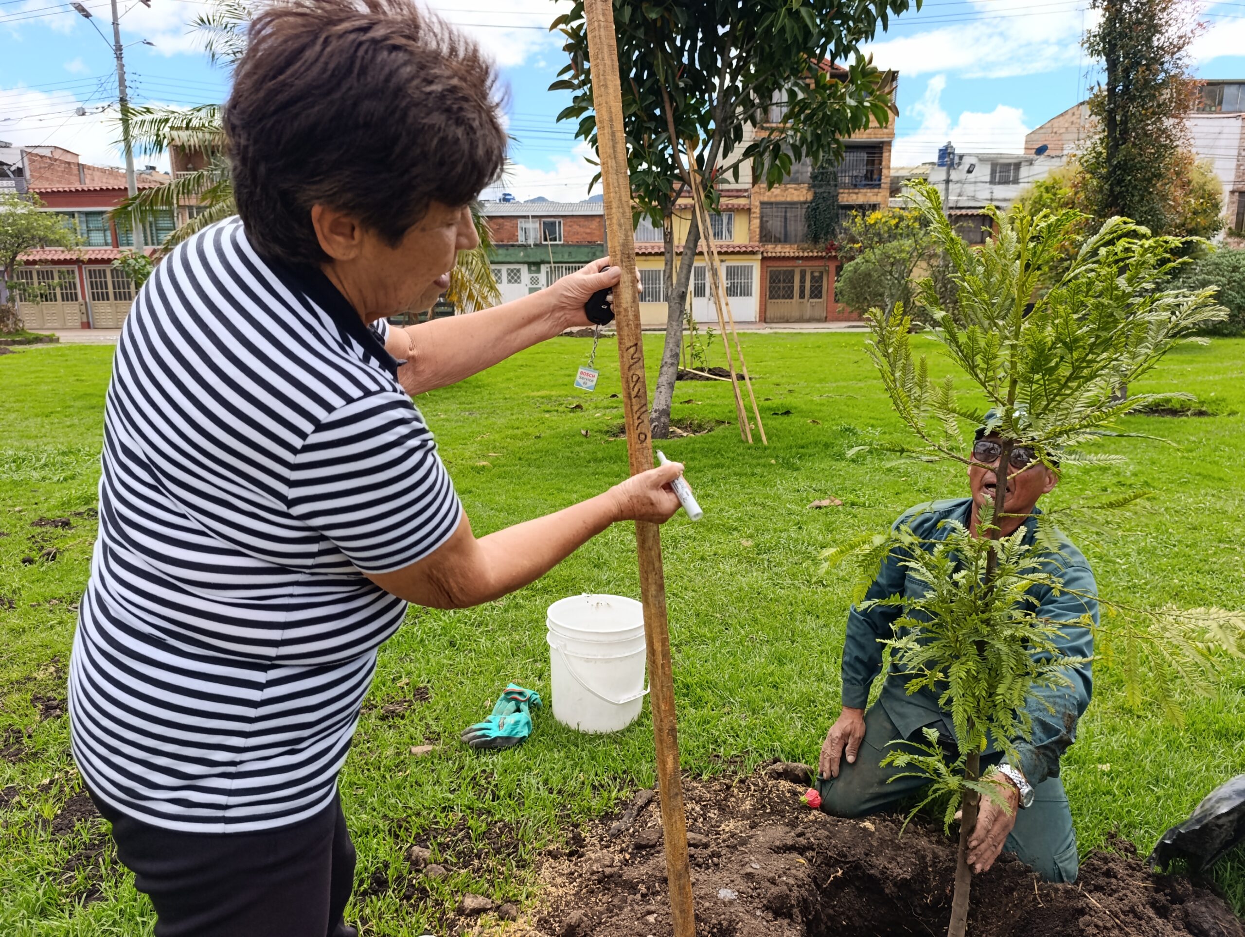 Historias del verde urbano: Bogotá se sumó al llamado planetario contra el cambio climático con la plantación de 205 árboles y arbustos
