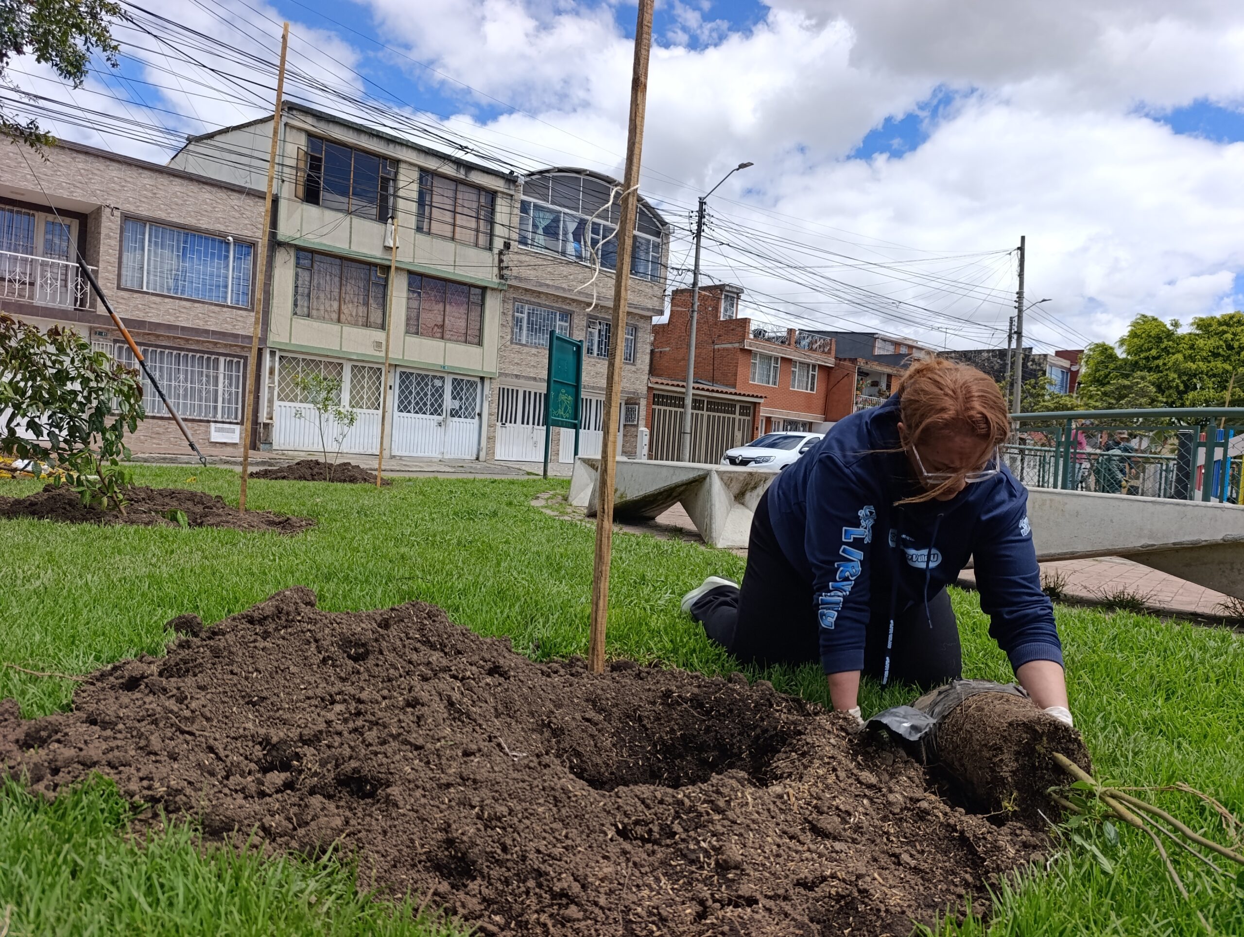 Historias del verde urbano: Bogotá se sumó al llamado planetario contra el cambio climático con la plantación de 205 árboles y arbustos