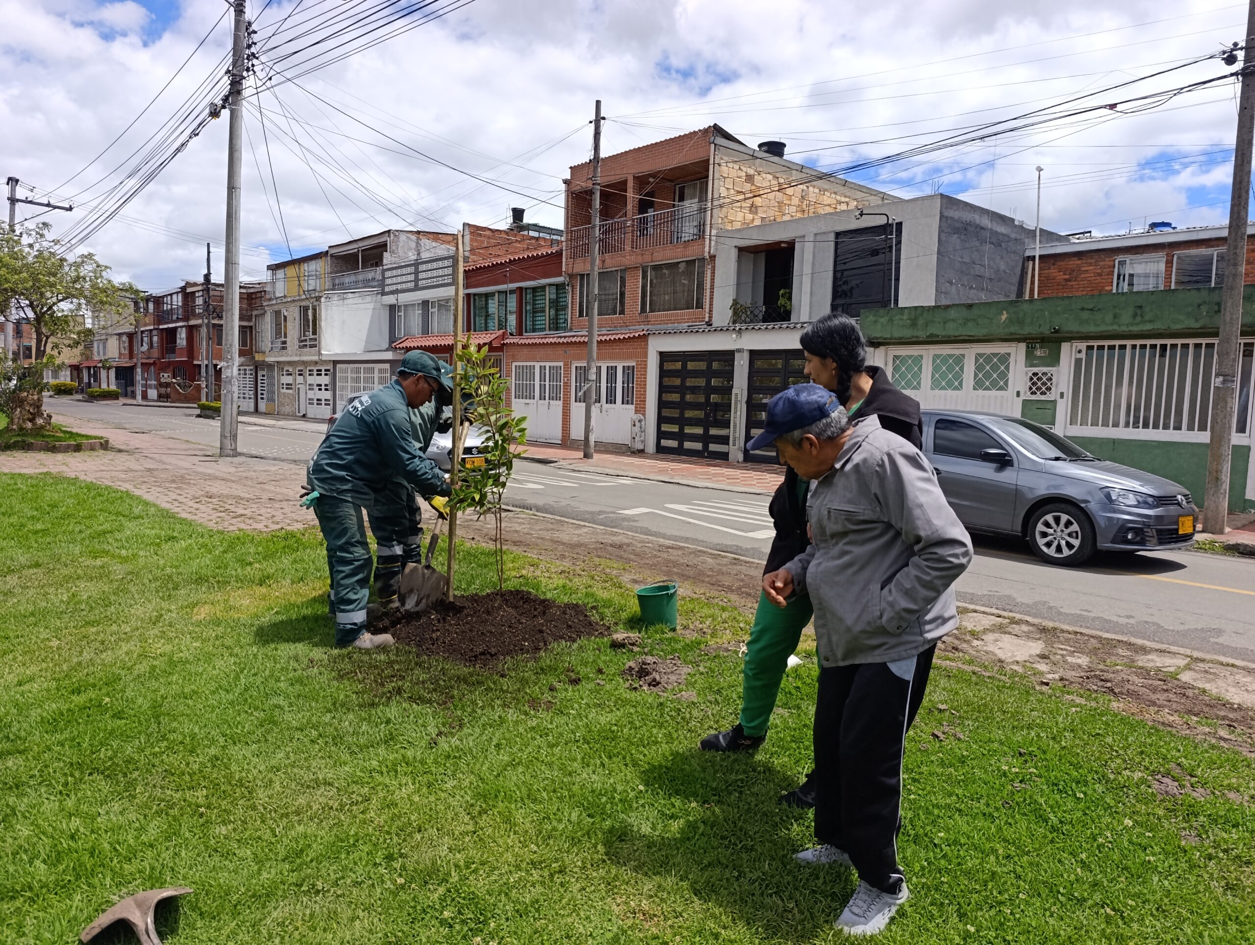 Historias del verde urbano: Bogotá se sumó al llamado planetario contra el cambio climático con la plantación de 205 árboles y arbustos