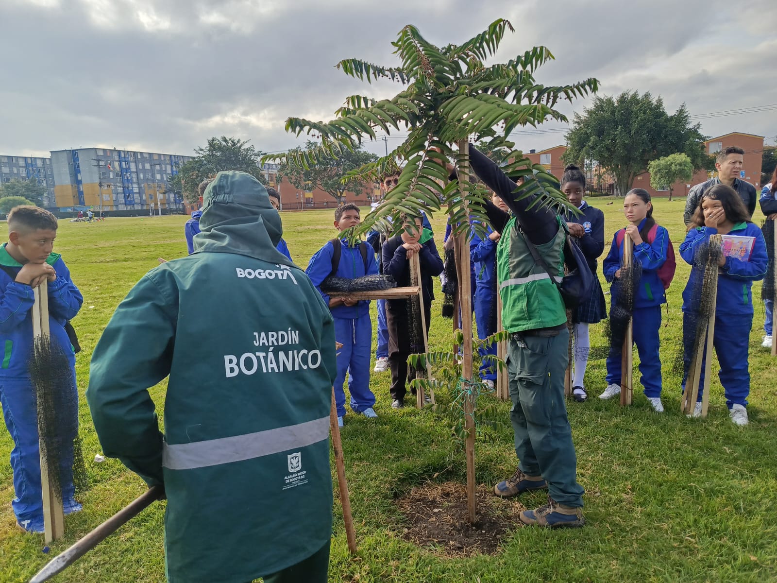 Historias del verde urbano: ¡El arbolado de Bosa sigue sumando custodios!