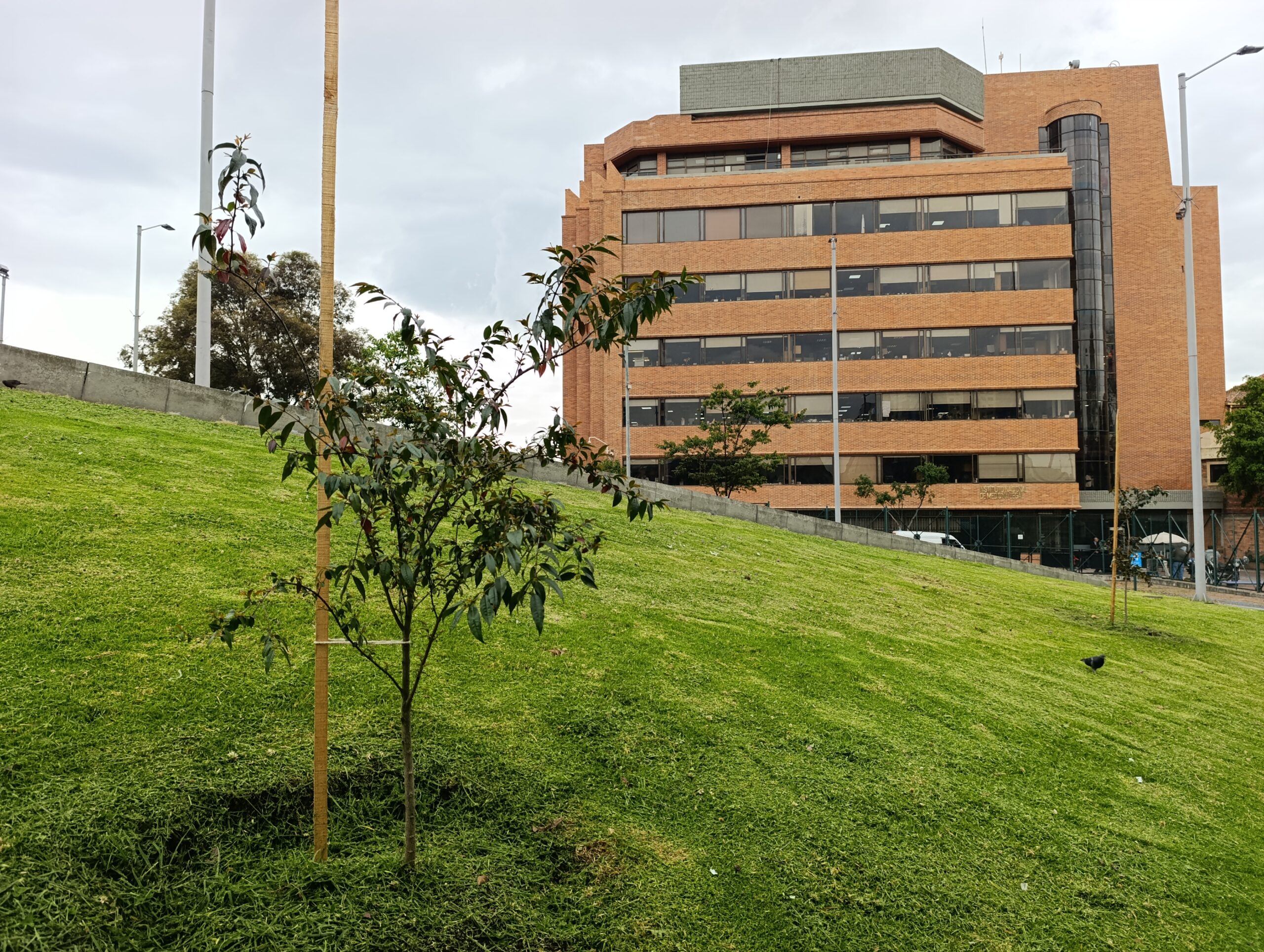 El renacer verde del parque Tercer Milenio